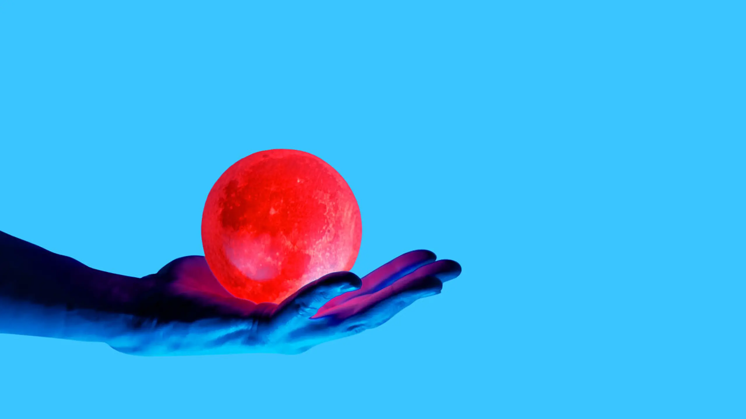 Mondkalender: Einfluss des Mondes auf Gärtnern, Haare schneiden, Reisen und mehr