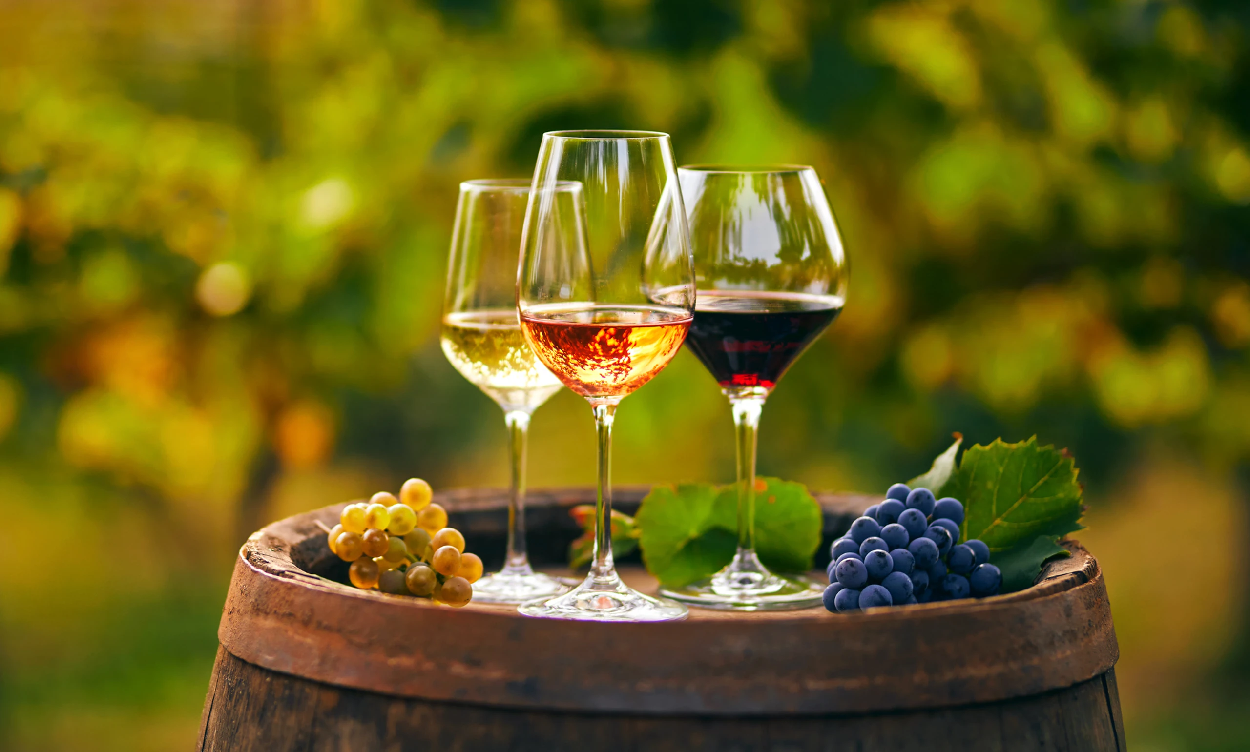 © iStock Blurred image background