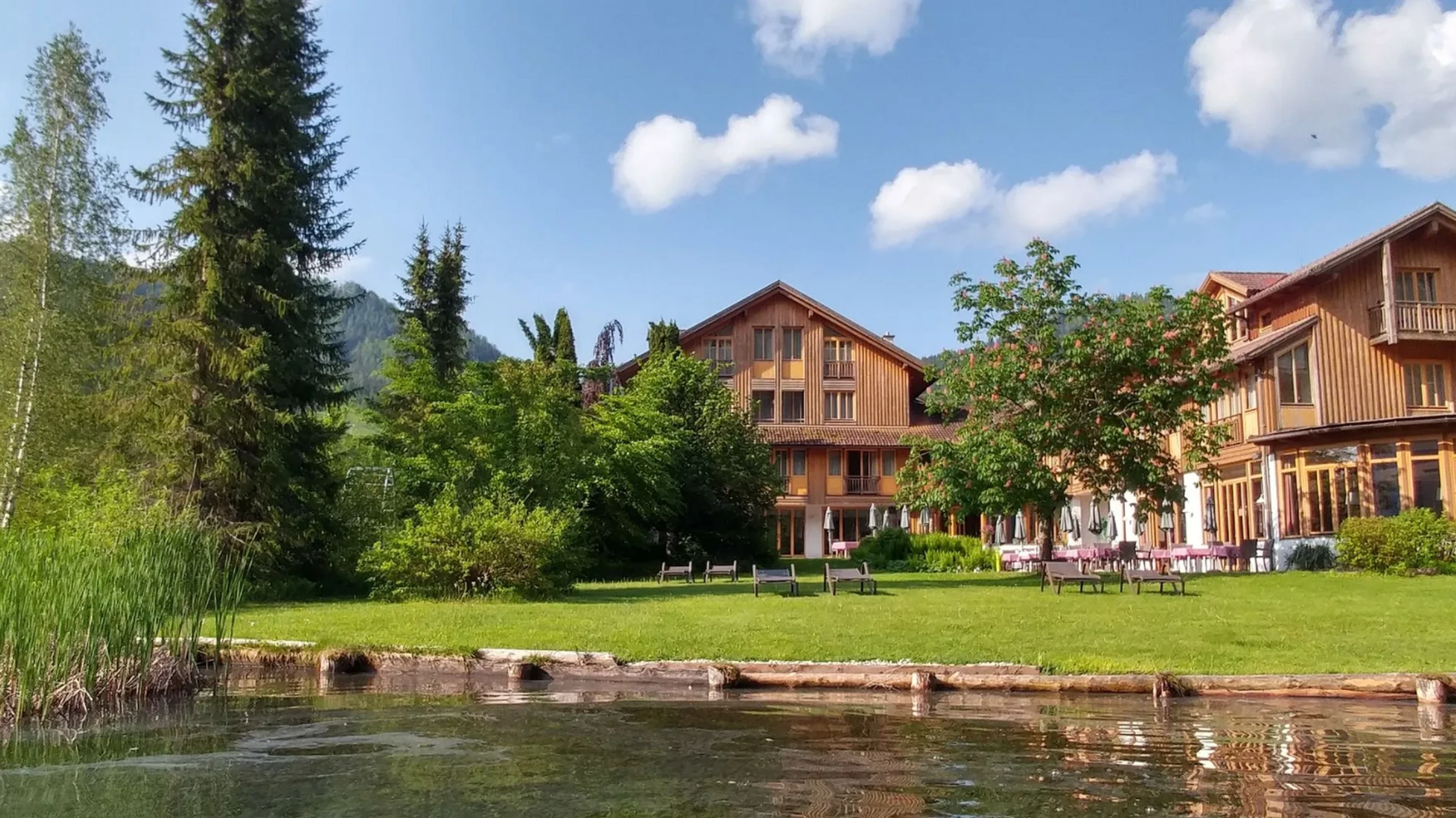 Blurred image background