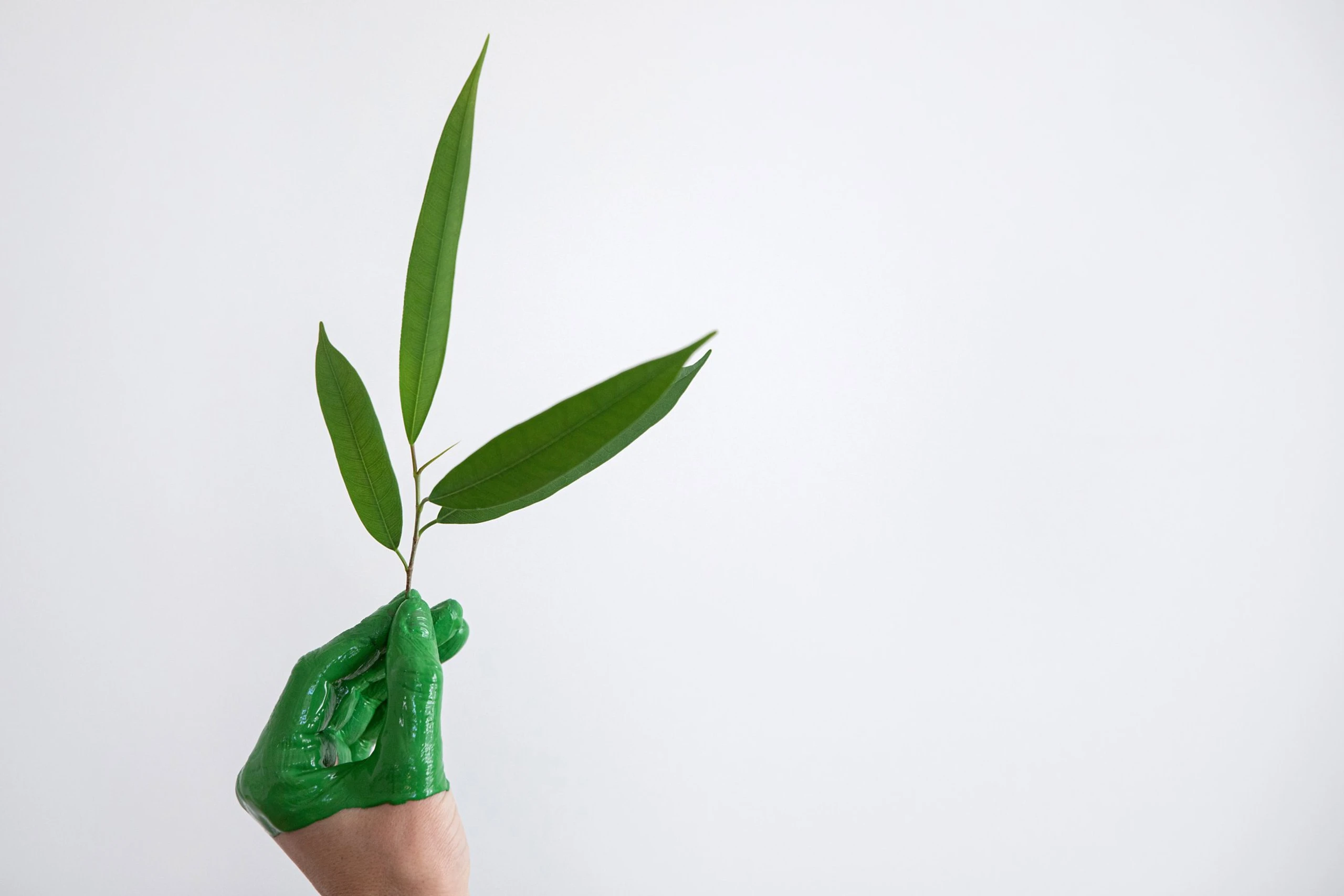 © Elke Mayr Blurred image background