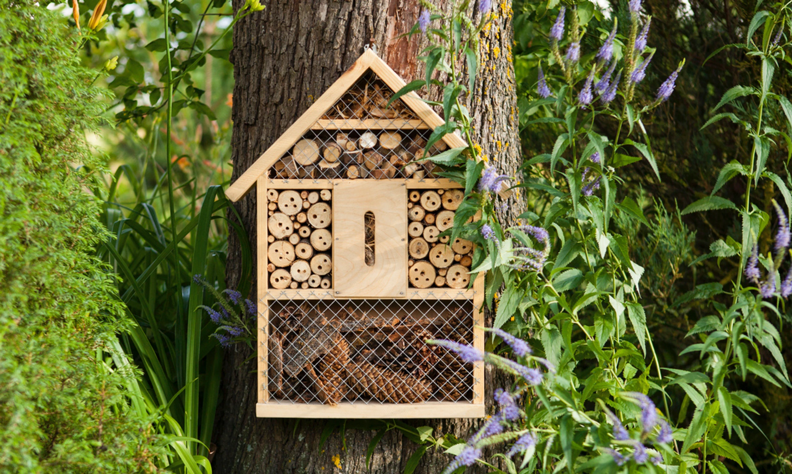 © iStock Blurred image background