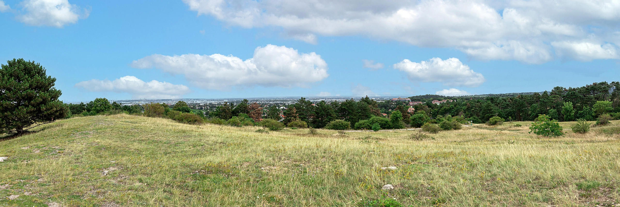 © Elke Mayr Blurred image background