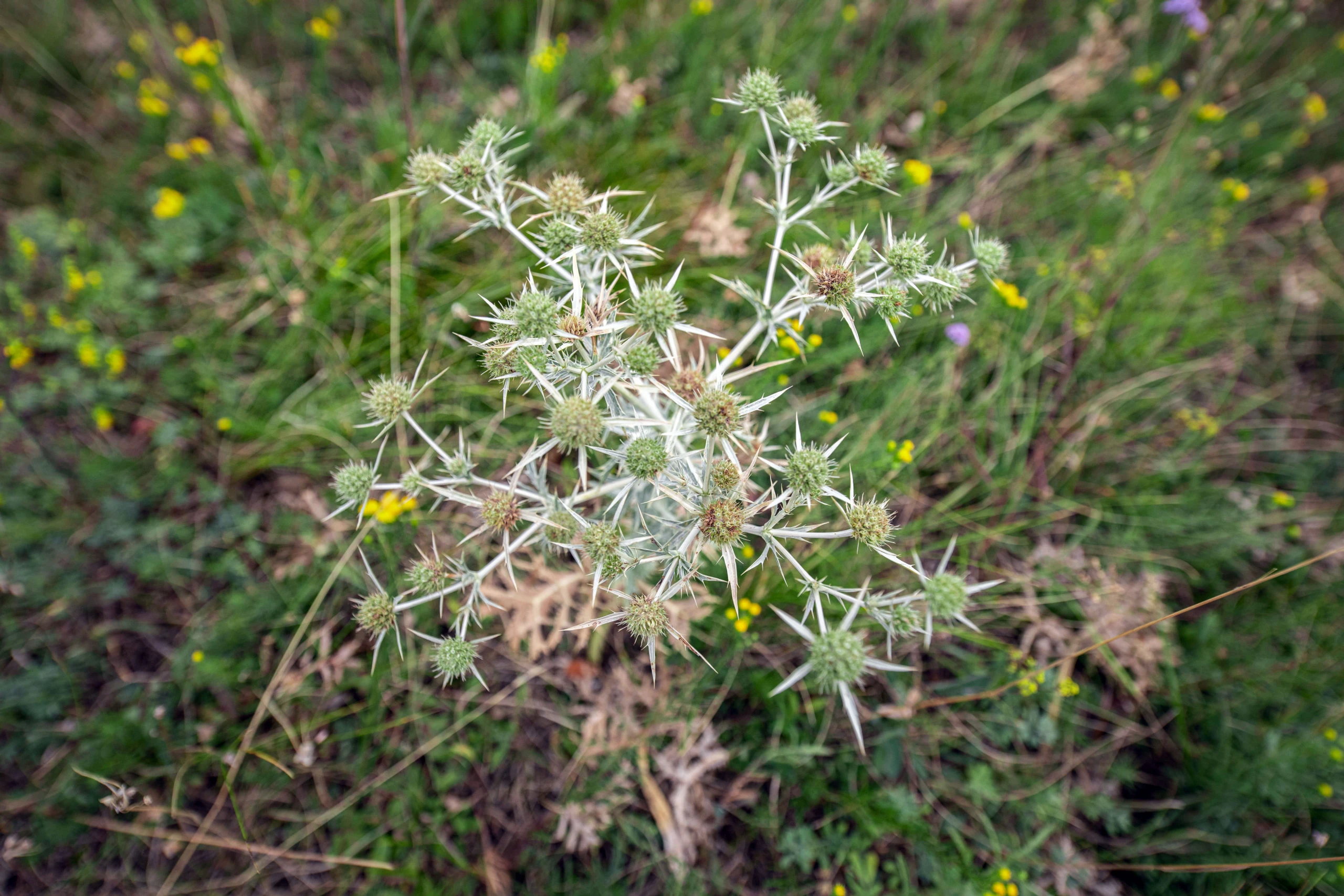 © Elke Mayr Blurred image background