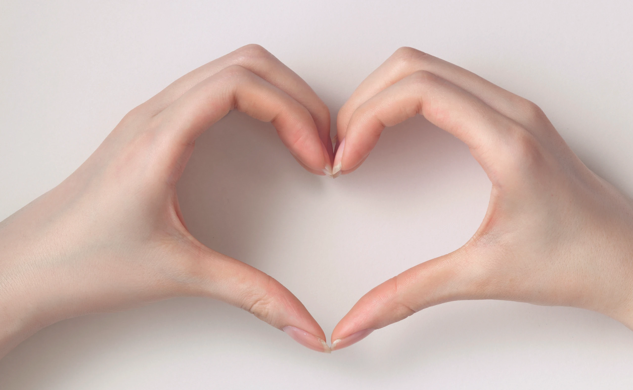 Es gibt vier verschieden Handformen, jede steht für einen unterschiedlichen Typ.