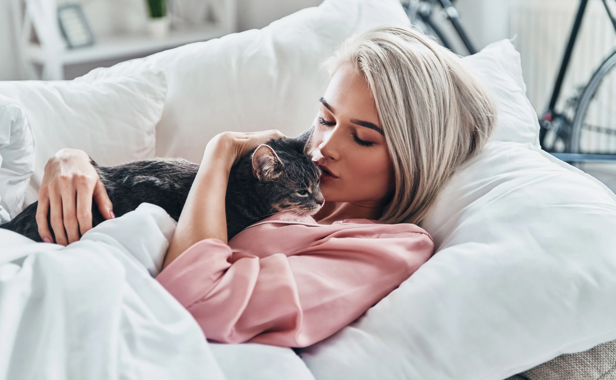 katze bemerkt schwangerschaft
