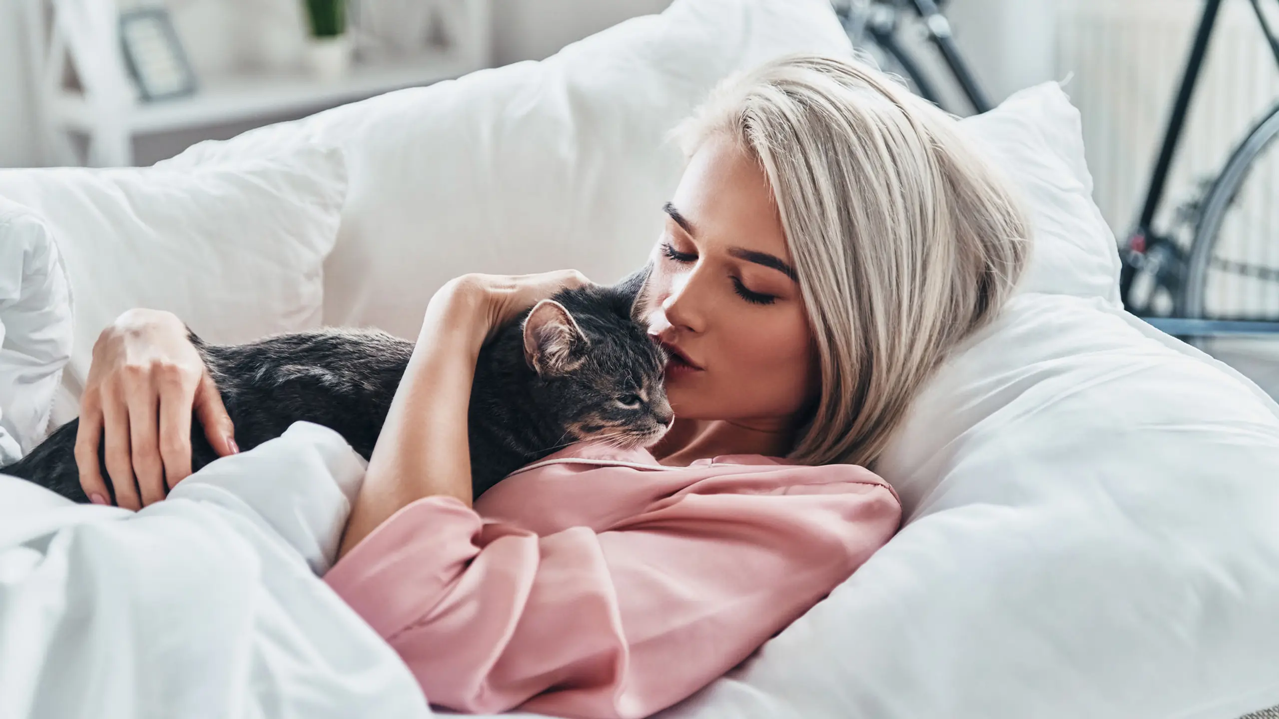 katze bemerkt schwangerschaft