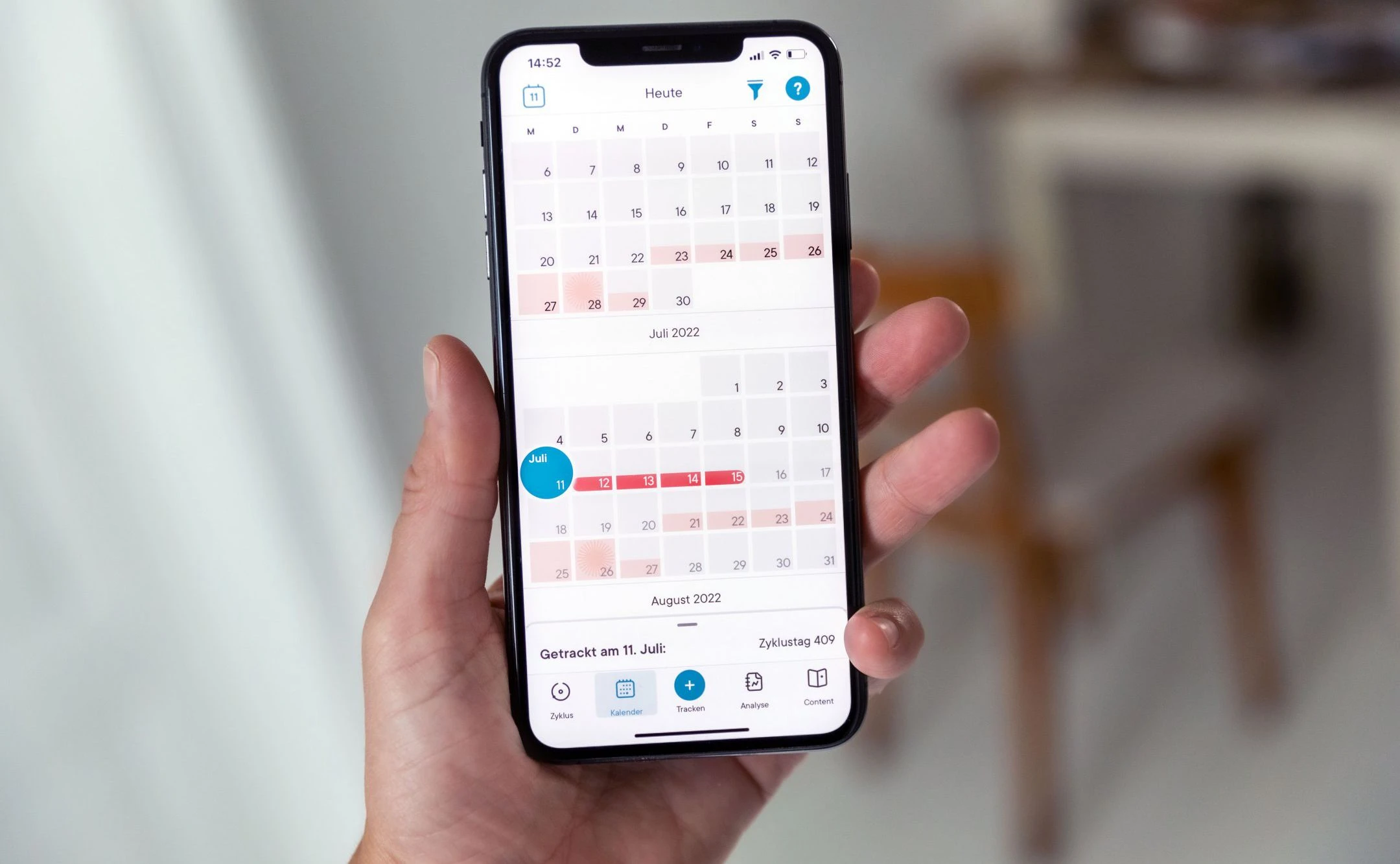 Eisprung App