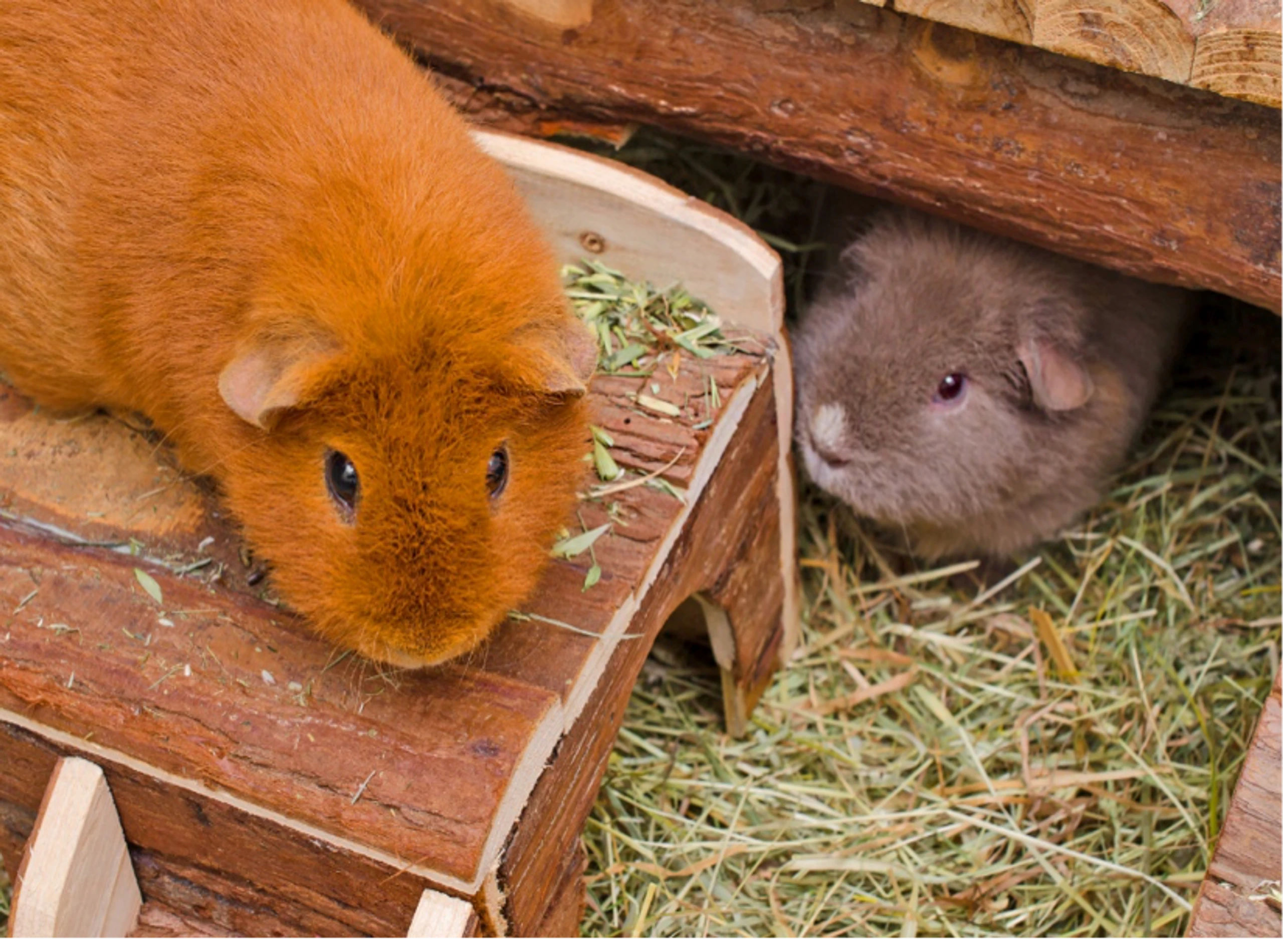 © fotolia Blurred image background