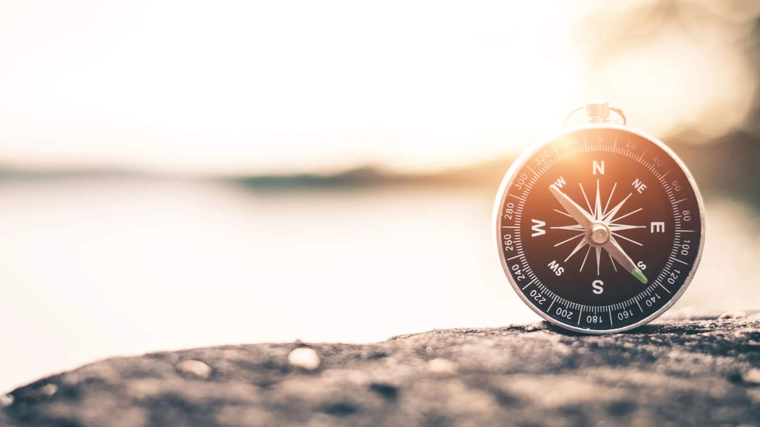 Mit dem inneren Kompass die Berufung finden