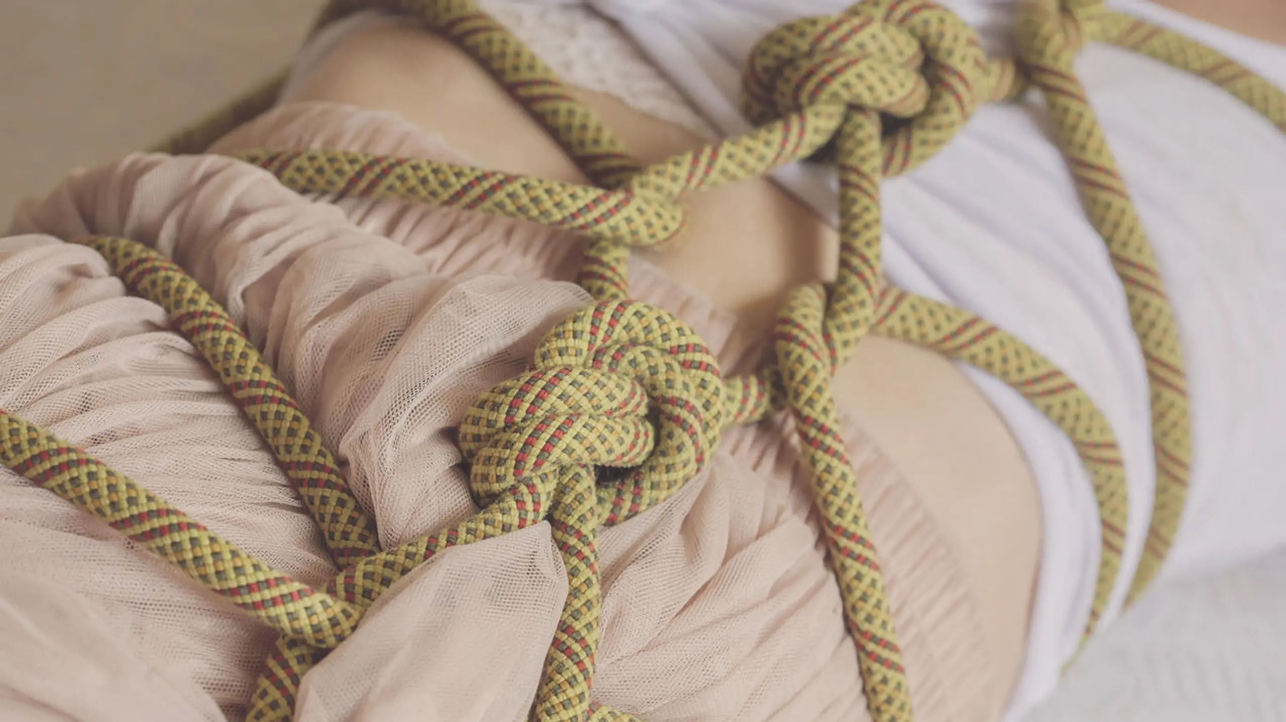 shibari