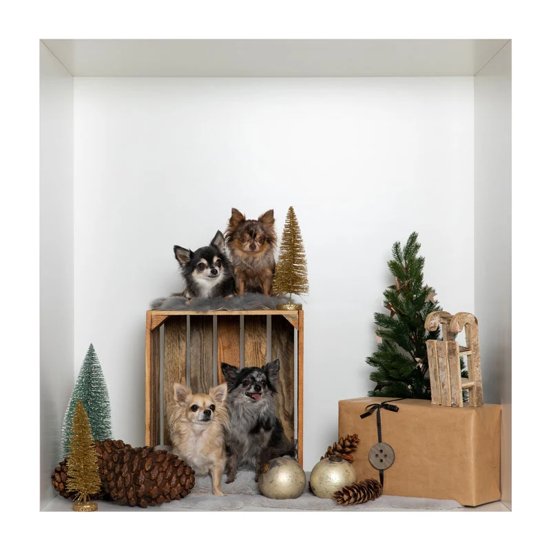 Blurred image background