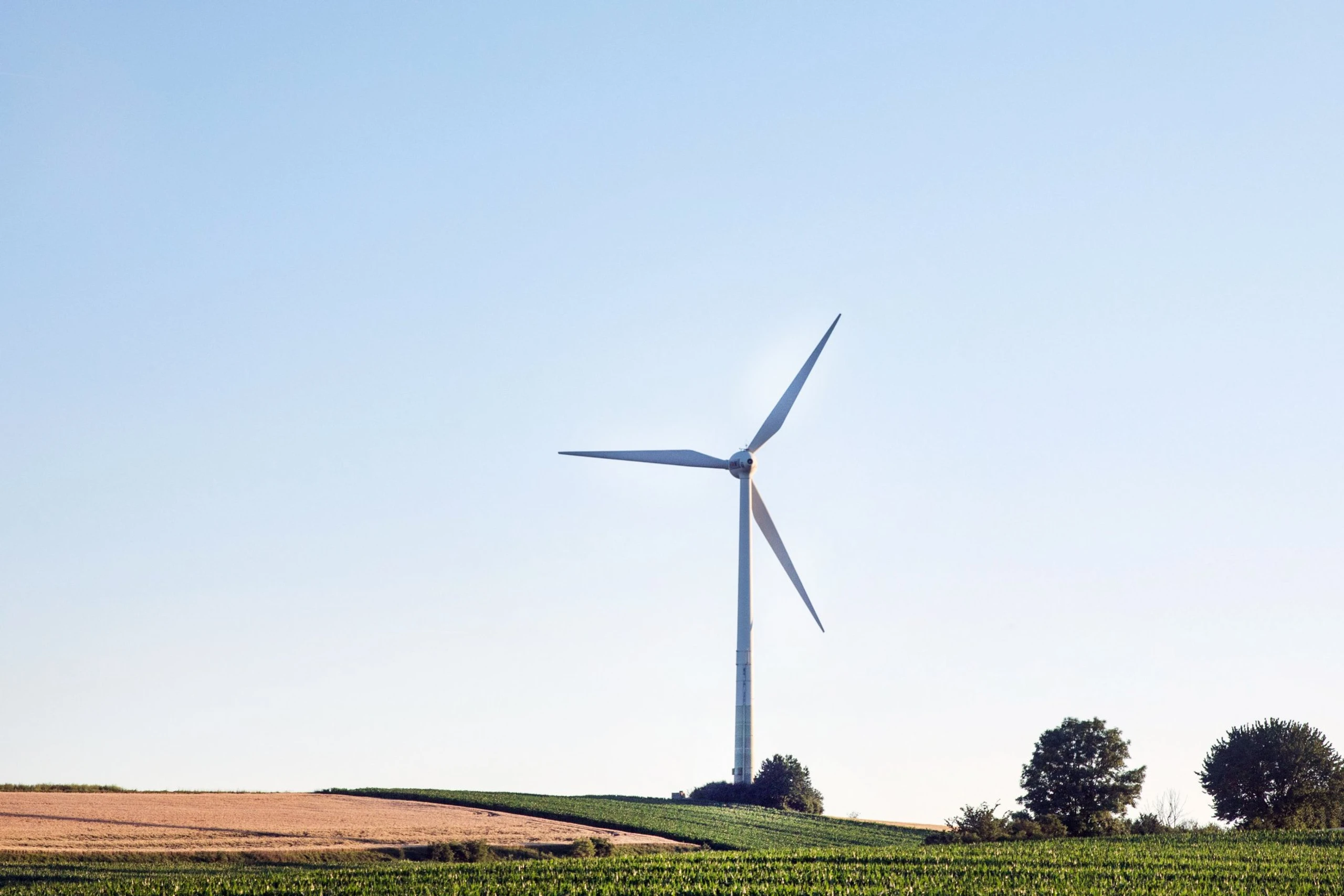 Blurred image background