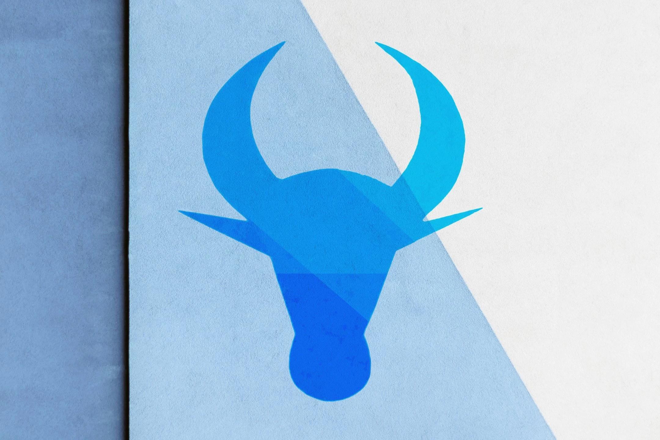 Blurred image background