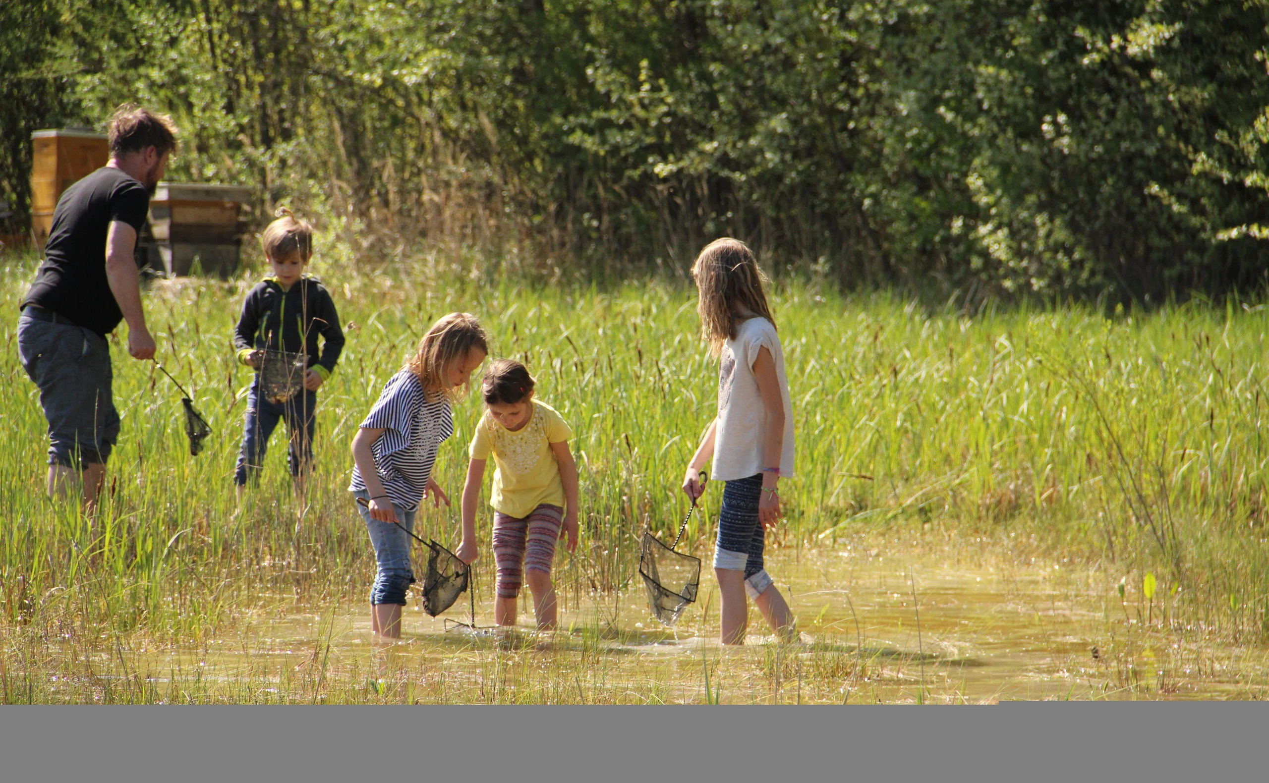 Frühlingserwachen in den Nationalparks