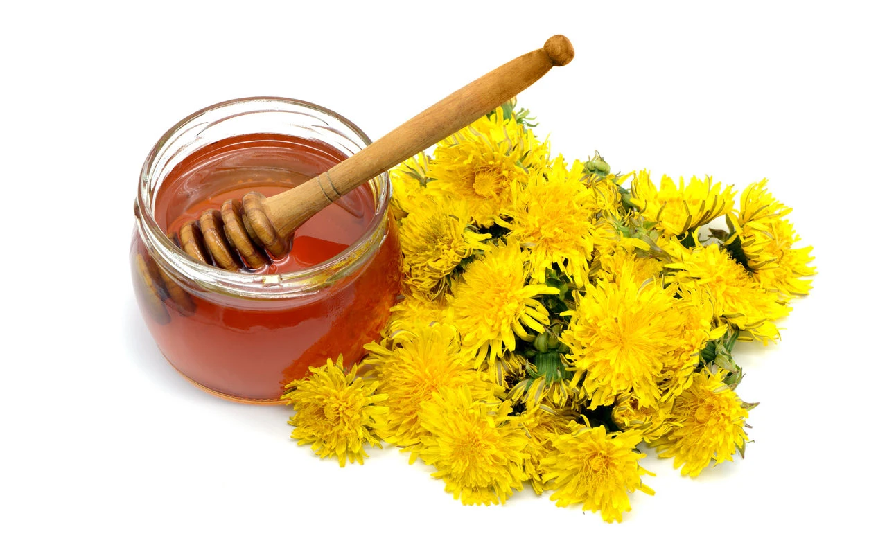 Perfekte Kinder-Beschäftigung: Löwenzahn-Honig selber machen – das einfache Rezept!