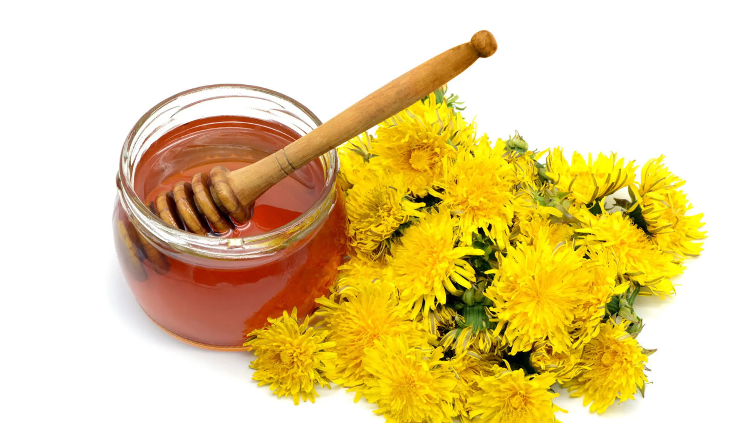 Perfekte Kinder-Beschäftigung: Löwenzahn-Honig selber machen – das einfache Rezept!