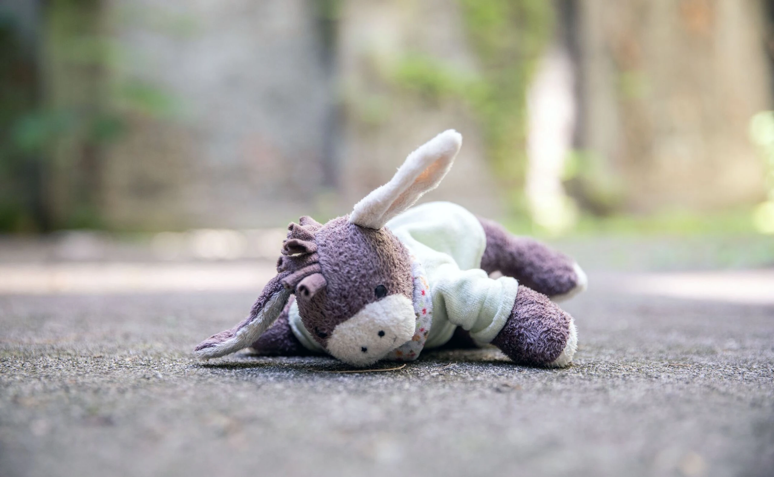 Kuscheltier, das auf dem Boden liegt