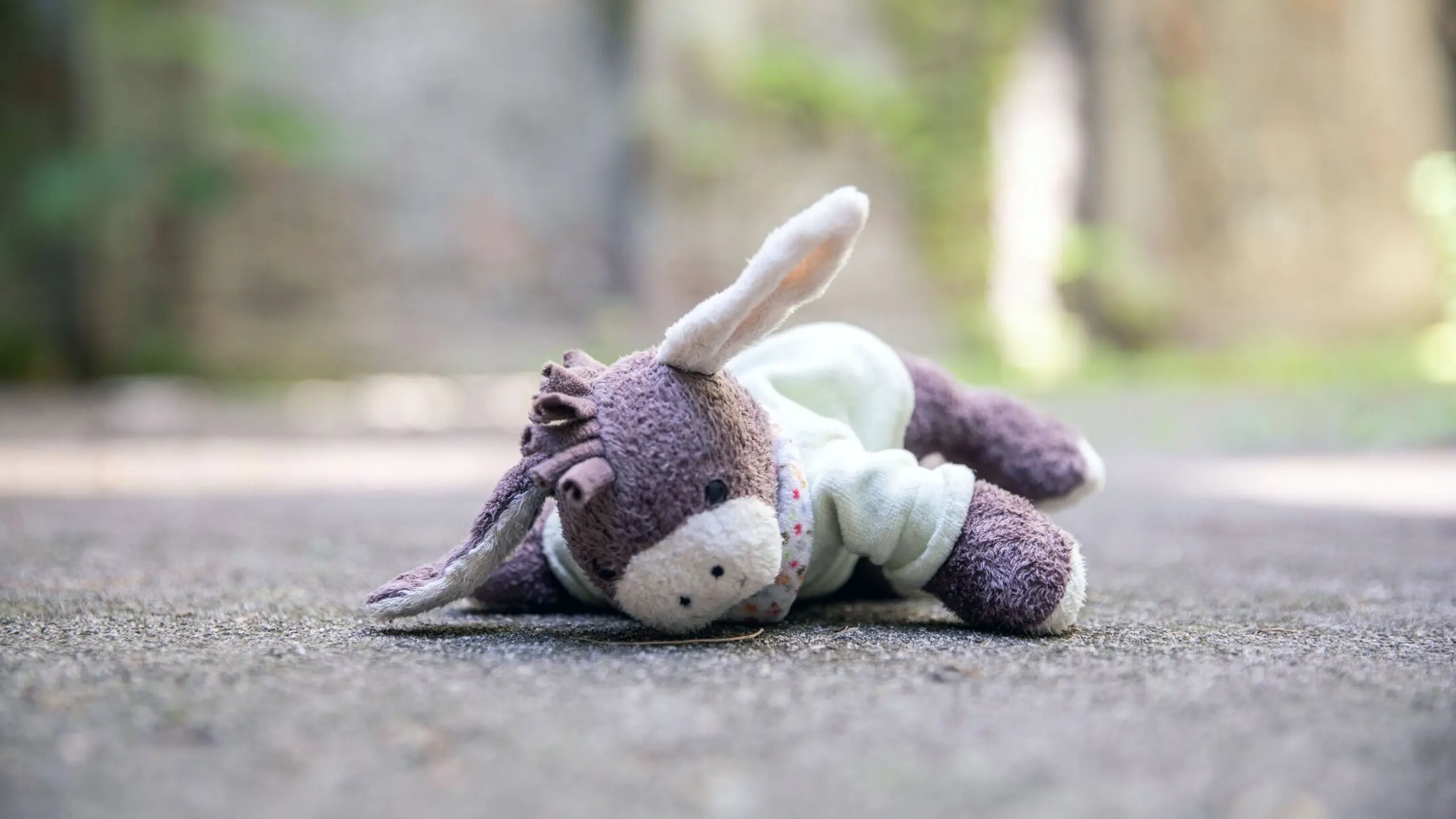 Kuscheltier, das auf dem Boden liegt