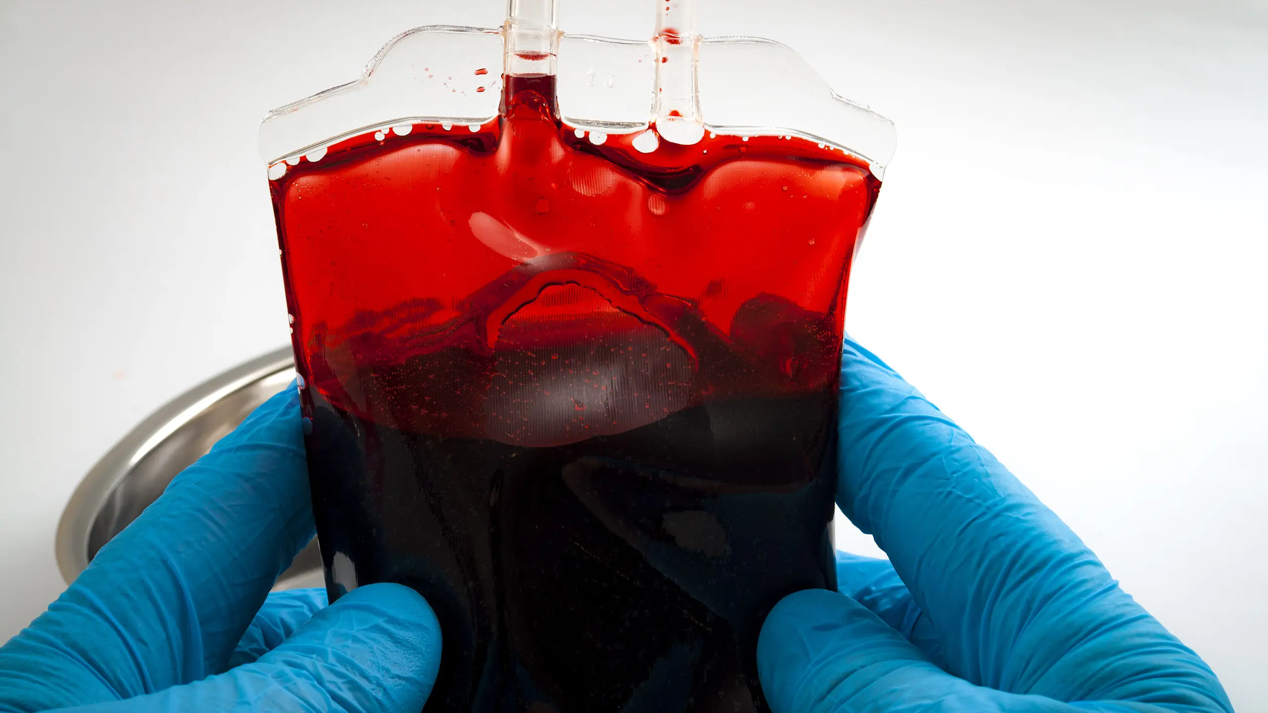 Blutspenden - alle Informationen