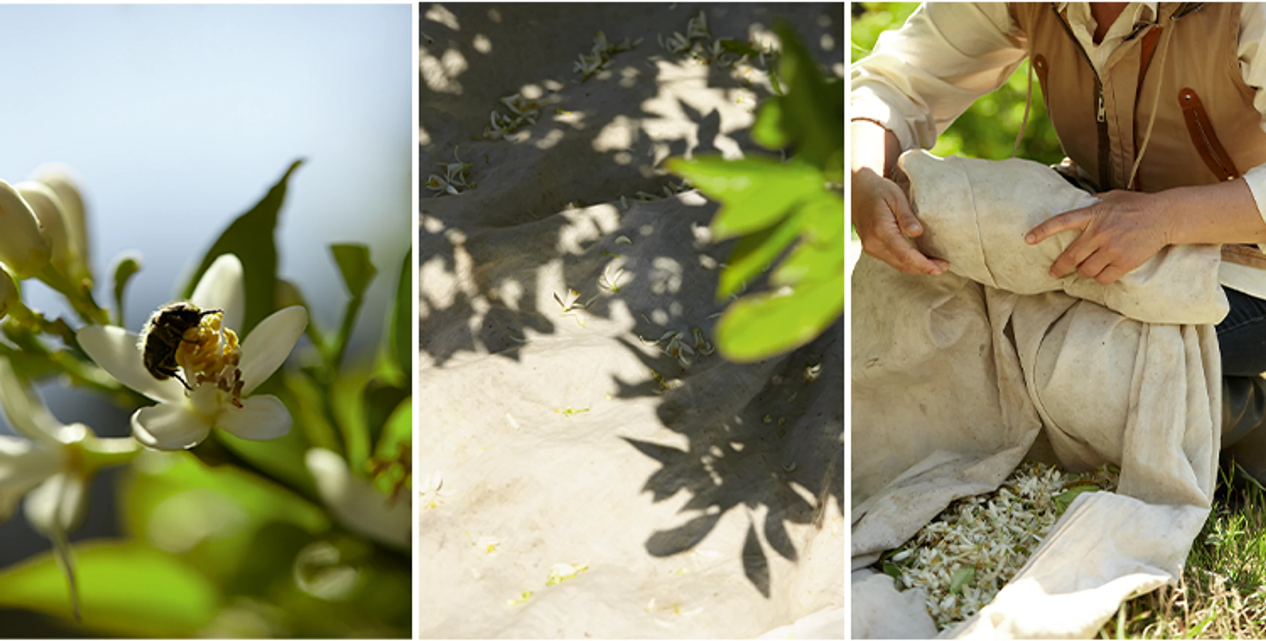 © DIOR Blurred image background