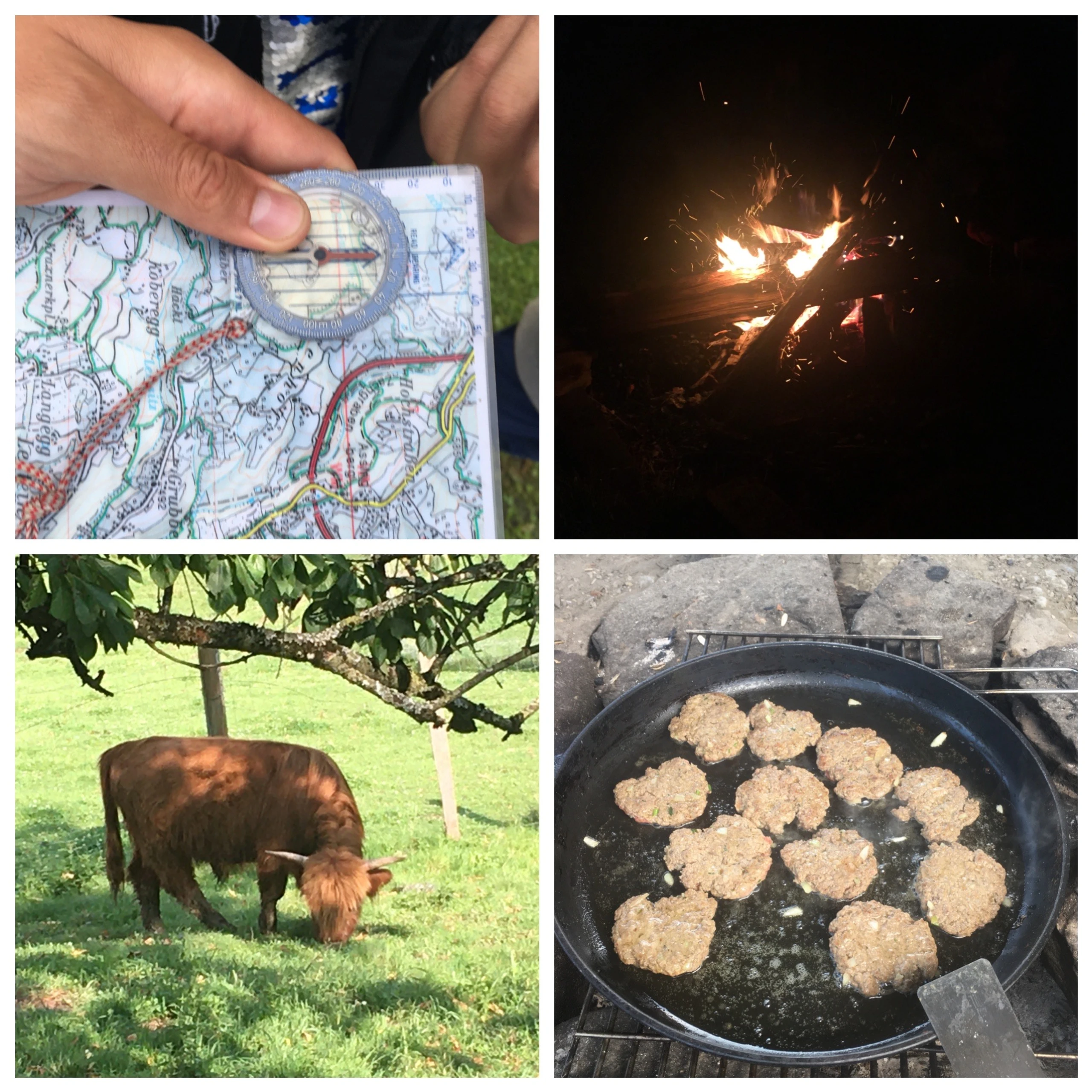 © Prosser Blurred image background