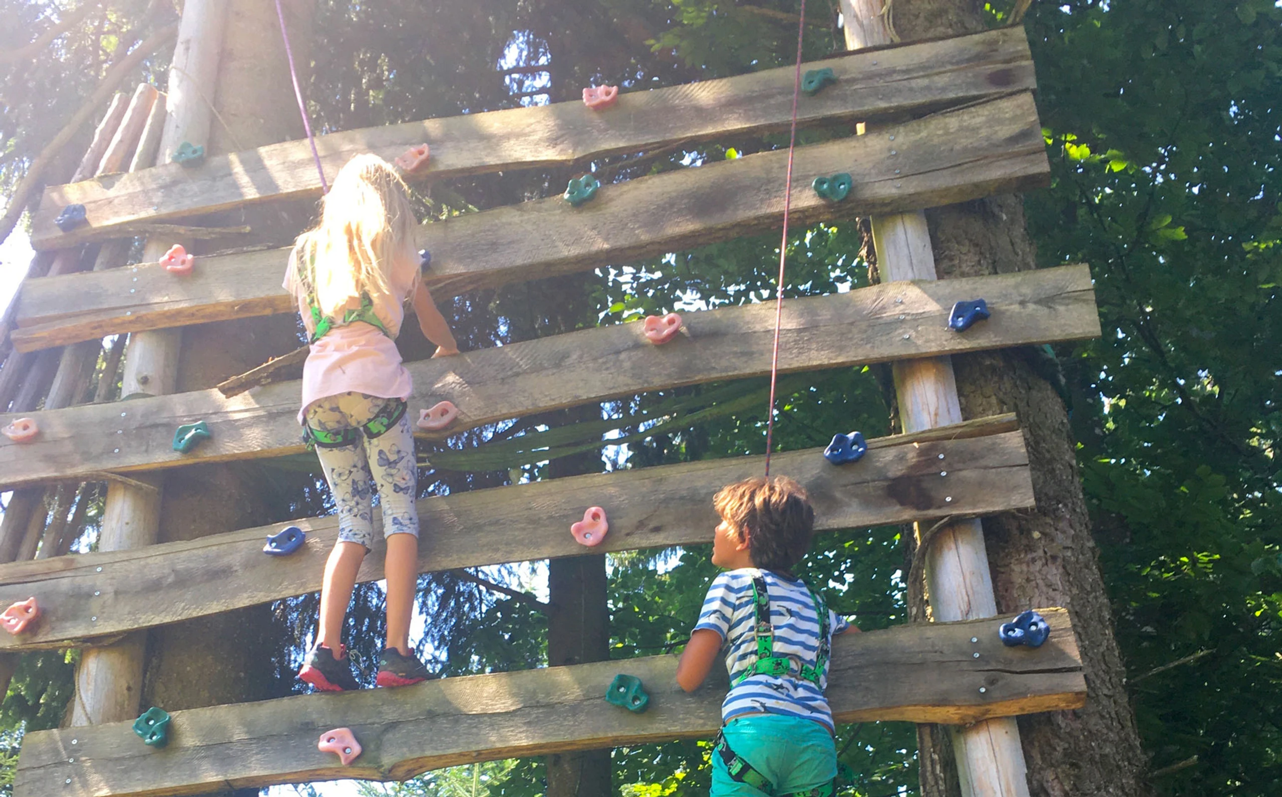 © Prosser Blurred image background