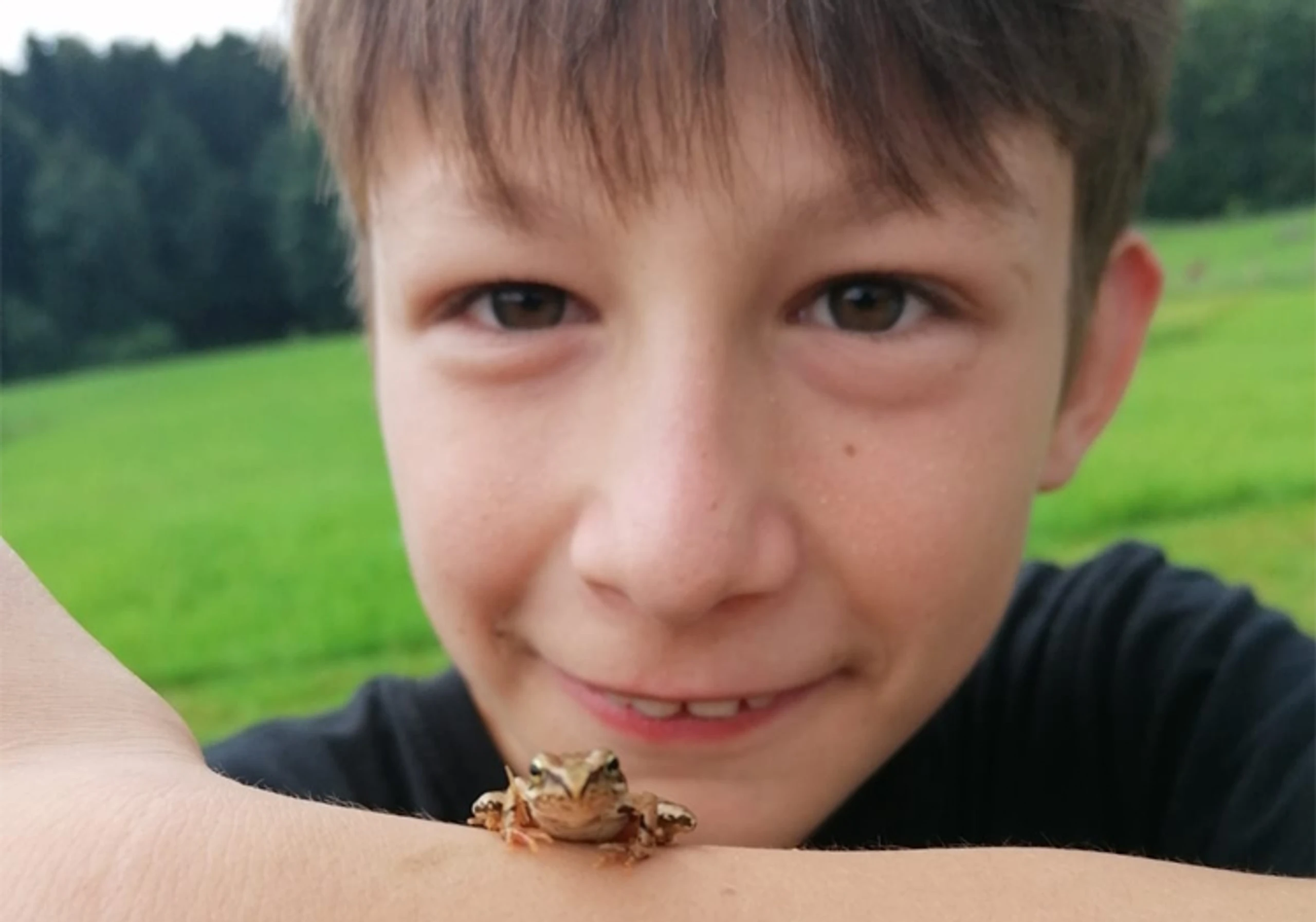 © KI-DO Blurred image background