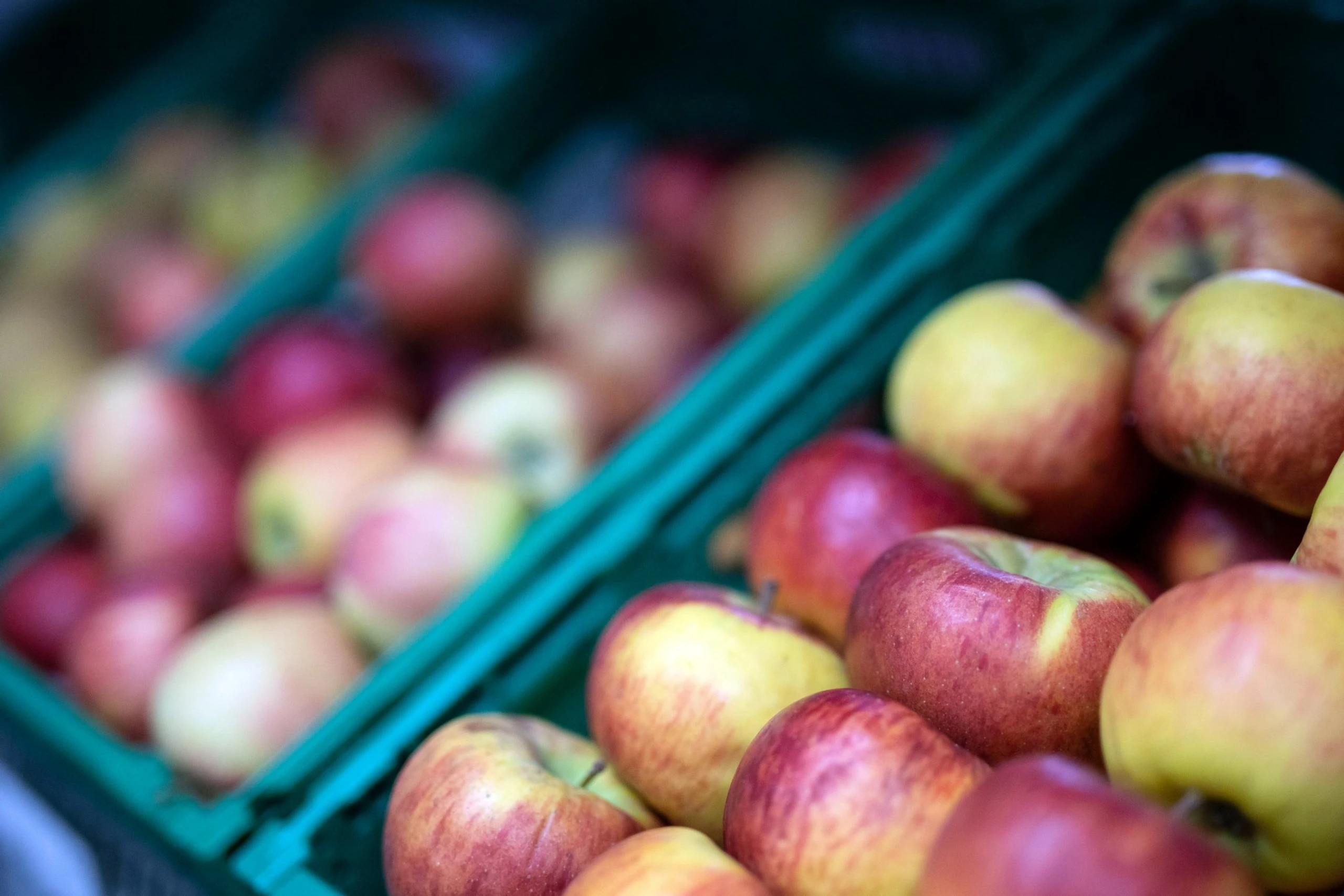 © Elke Mayr Blurred image background