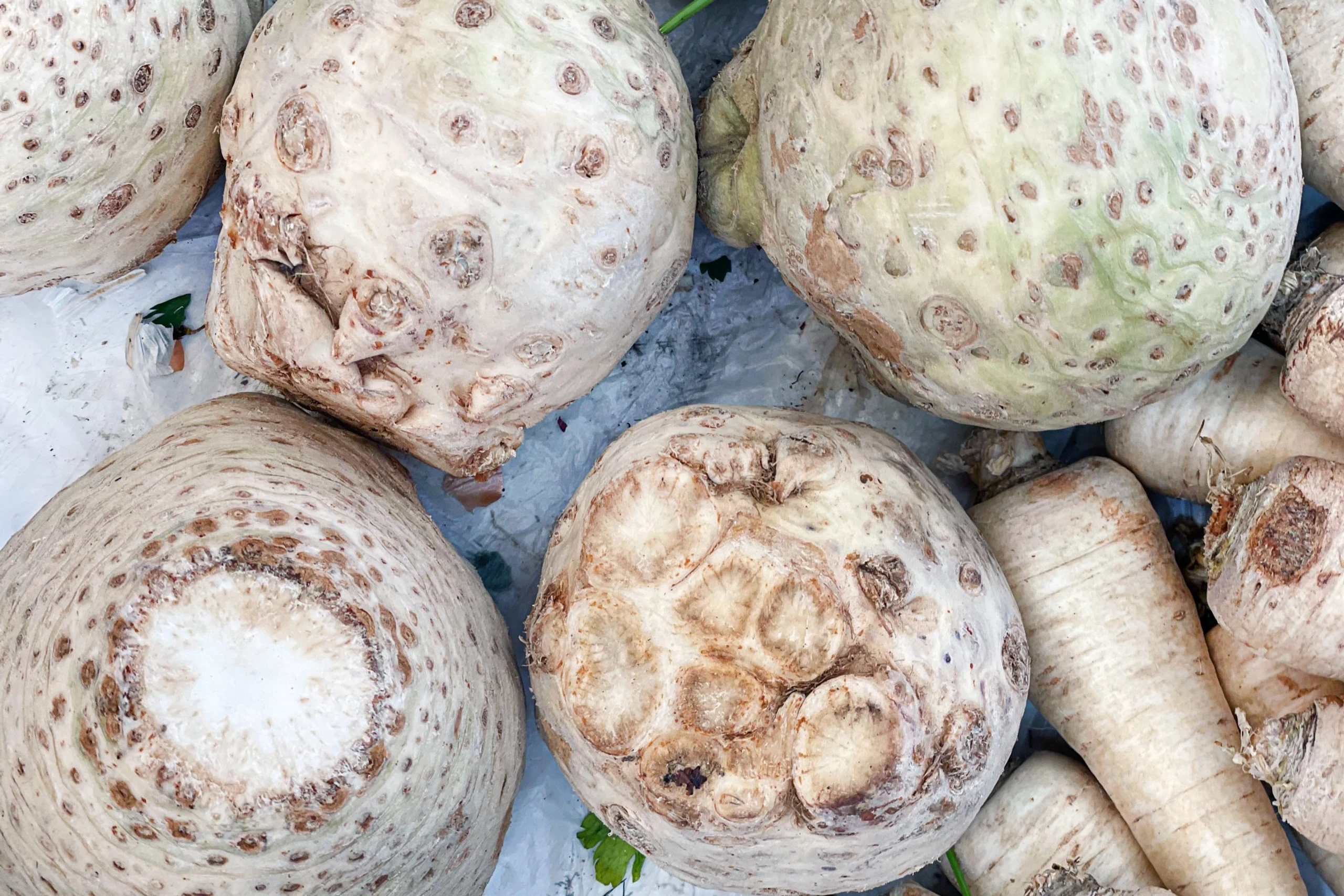 © Elke Mayr Blurred image background