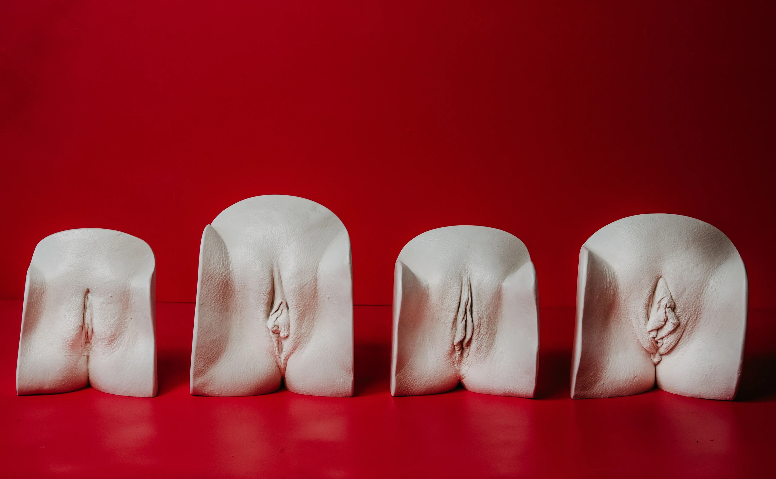 Vulva Casting