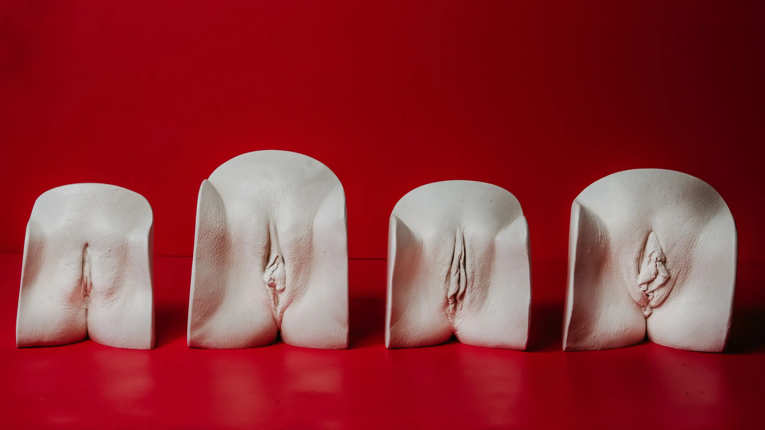 Vulva Casting