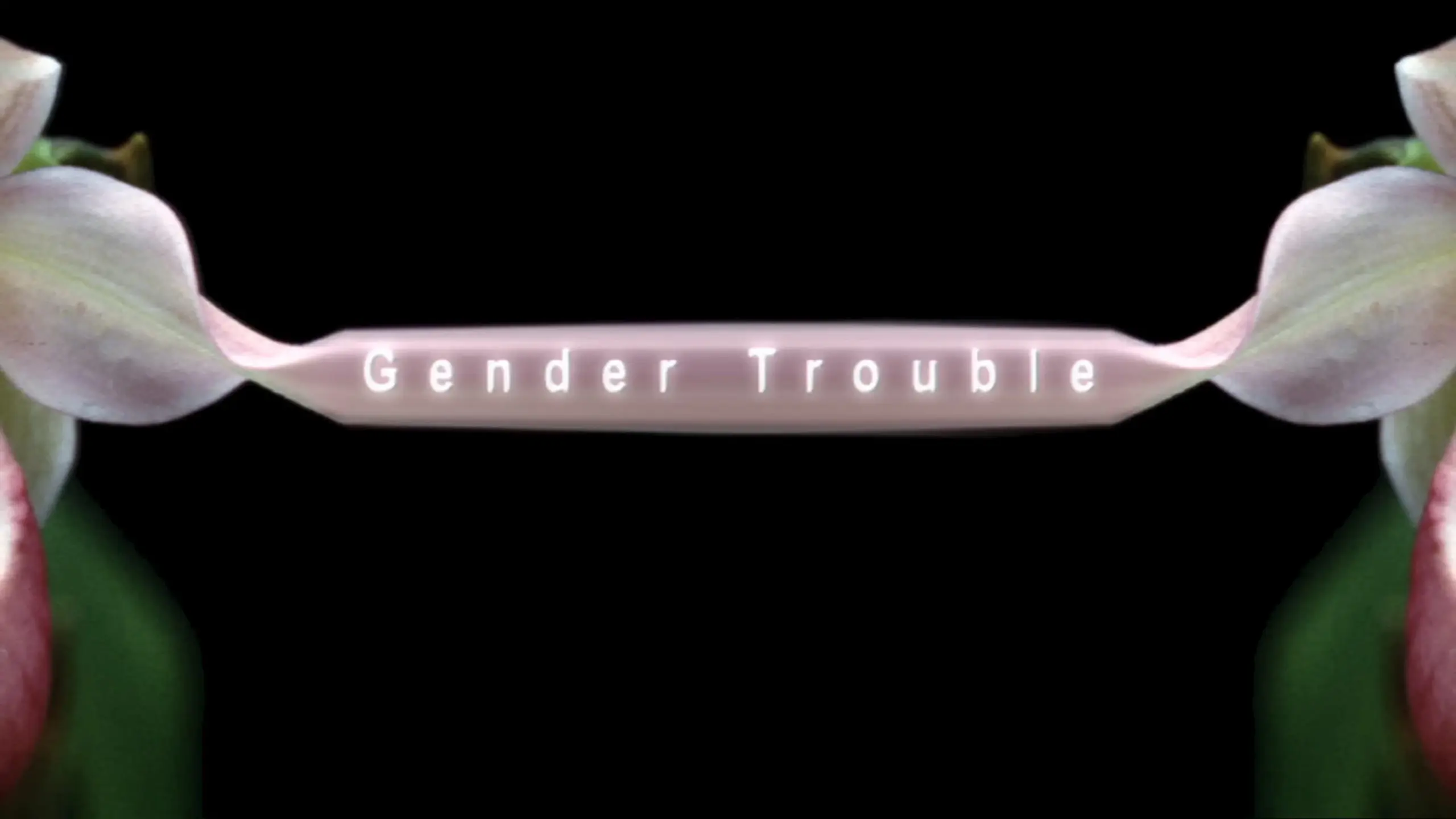 Gender Trouble