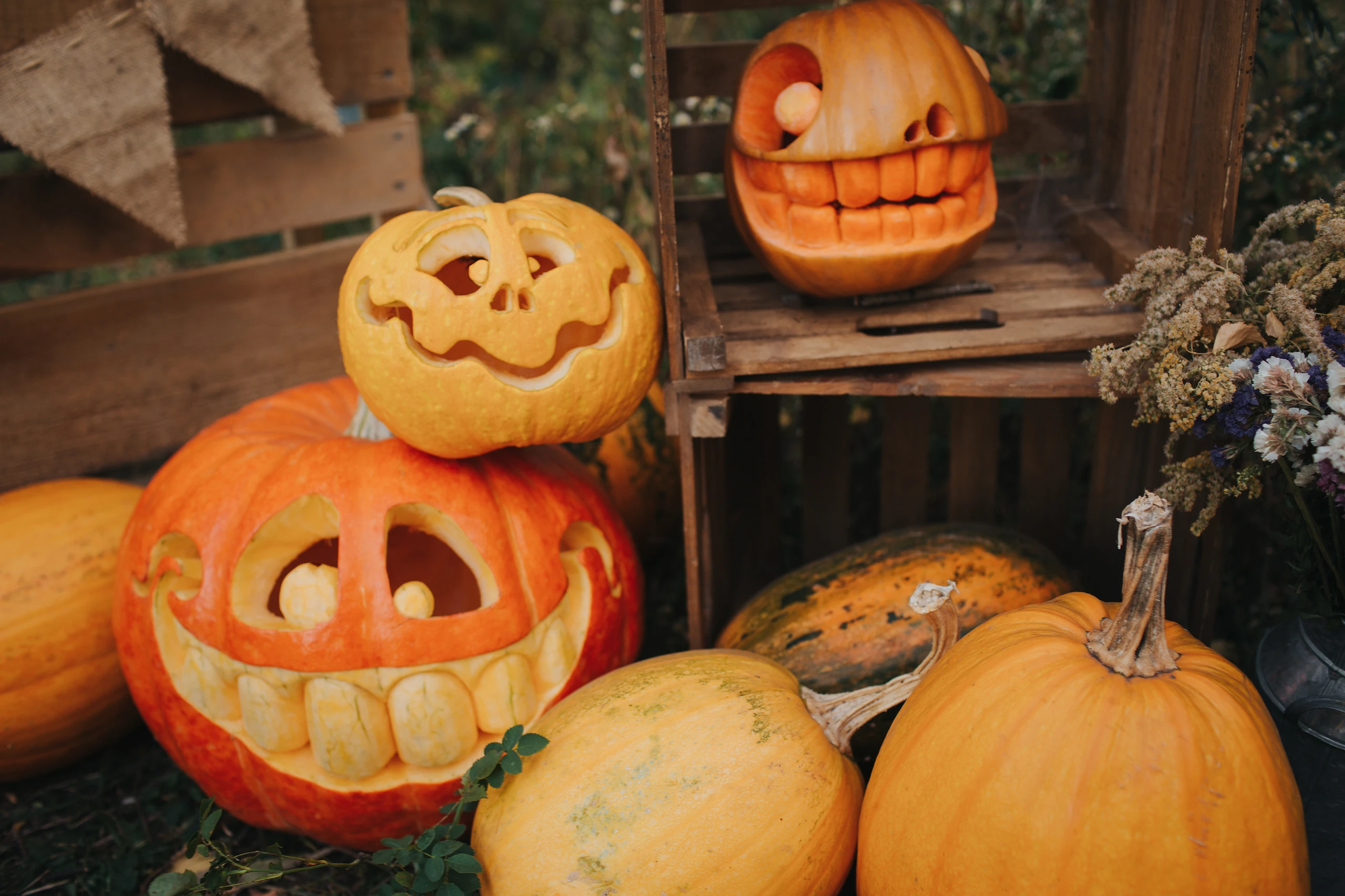 Halloween Kürbisse schnitzen