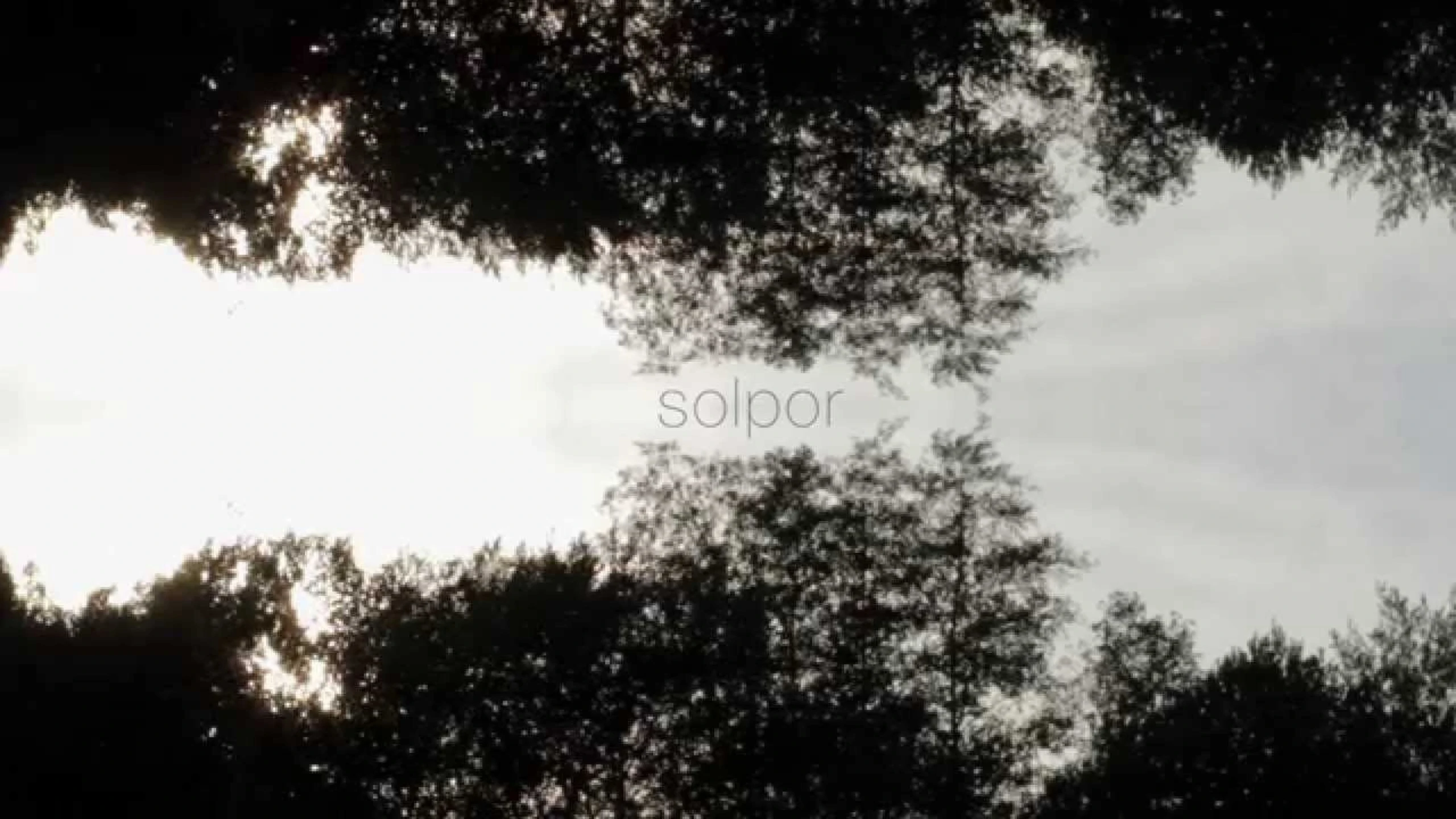 Solpor