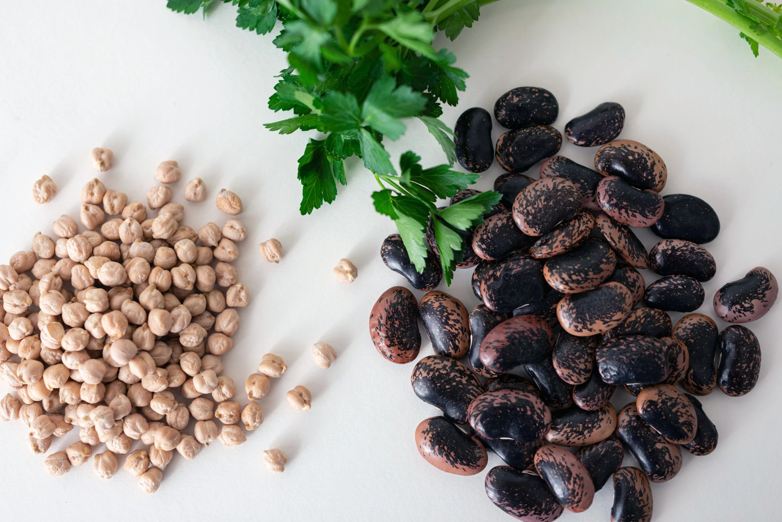 © Elke Mayr Blurred image background