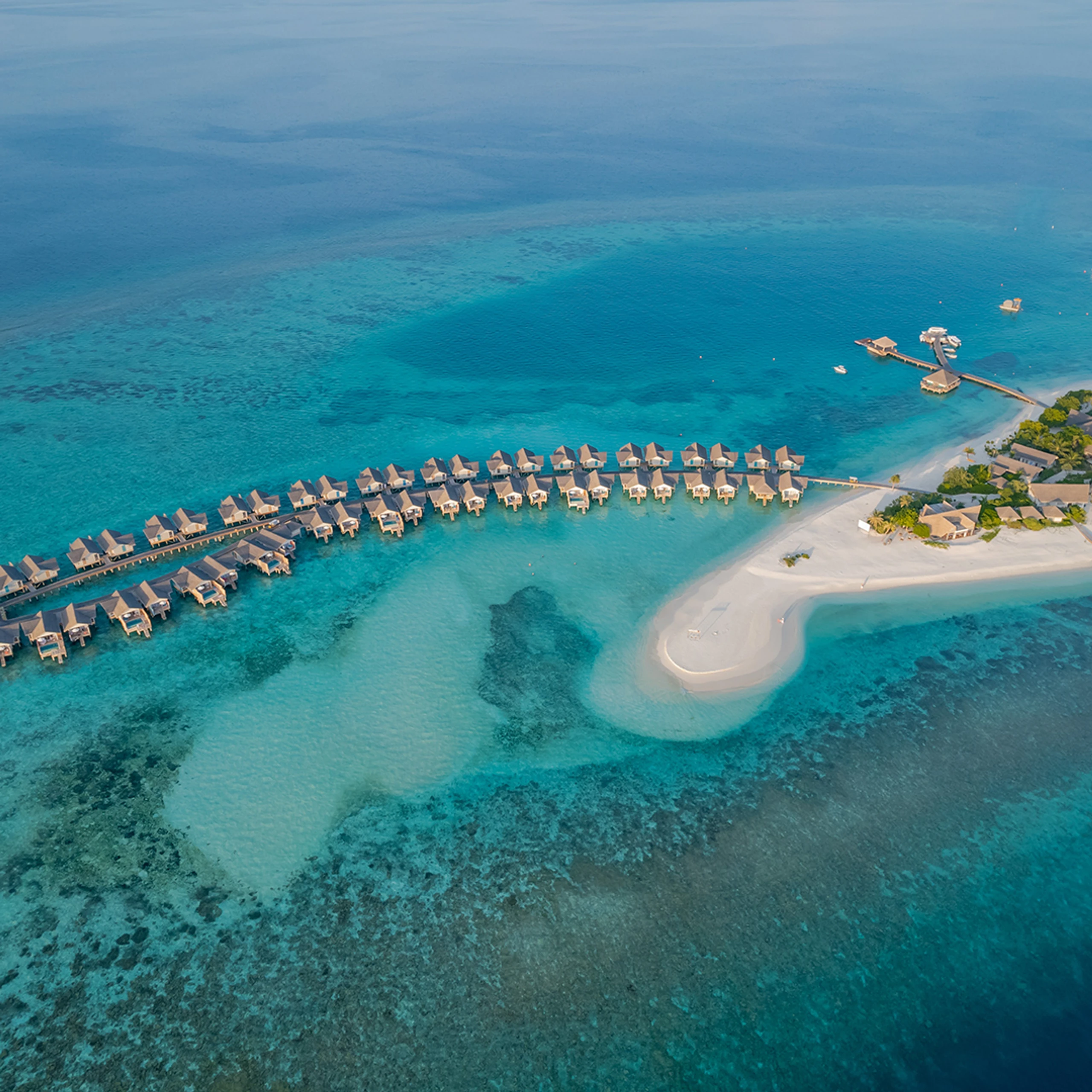 Hintergrundbild des Collage-Eintrags