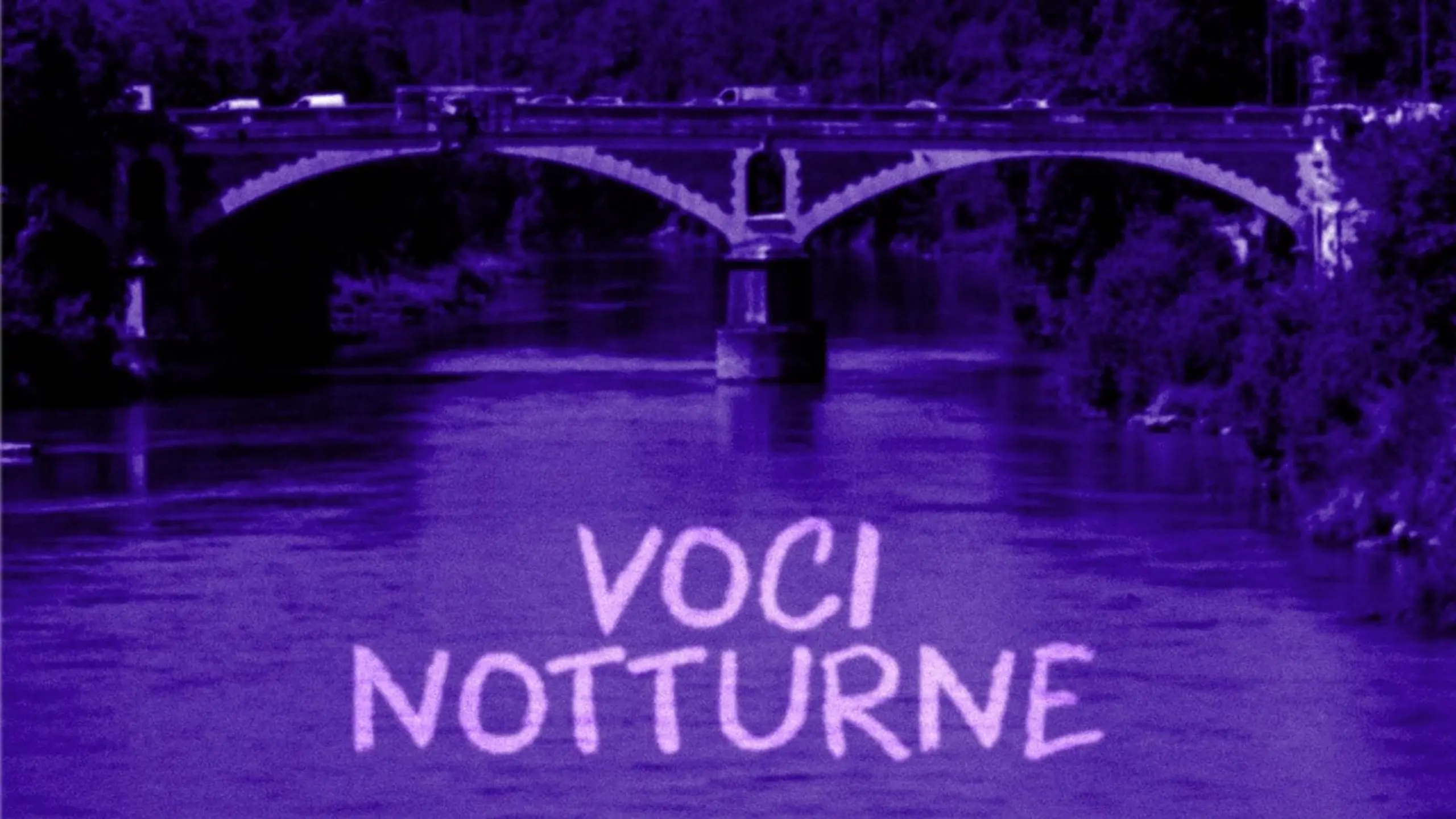 Voci notturne