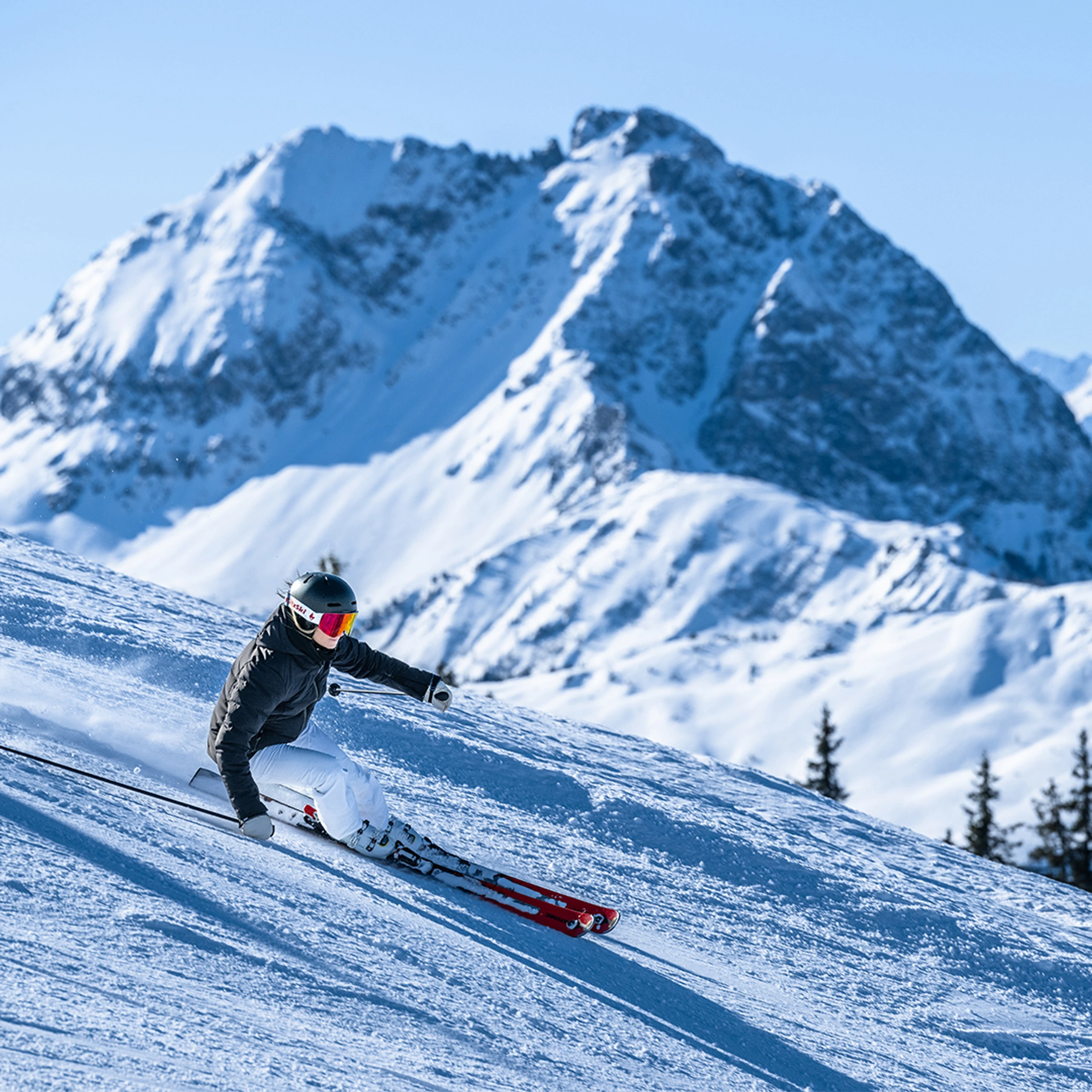 Hintergrundbild des Collage-Eintrags