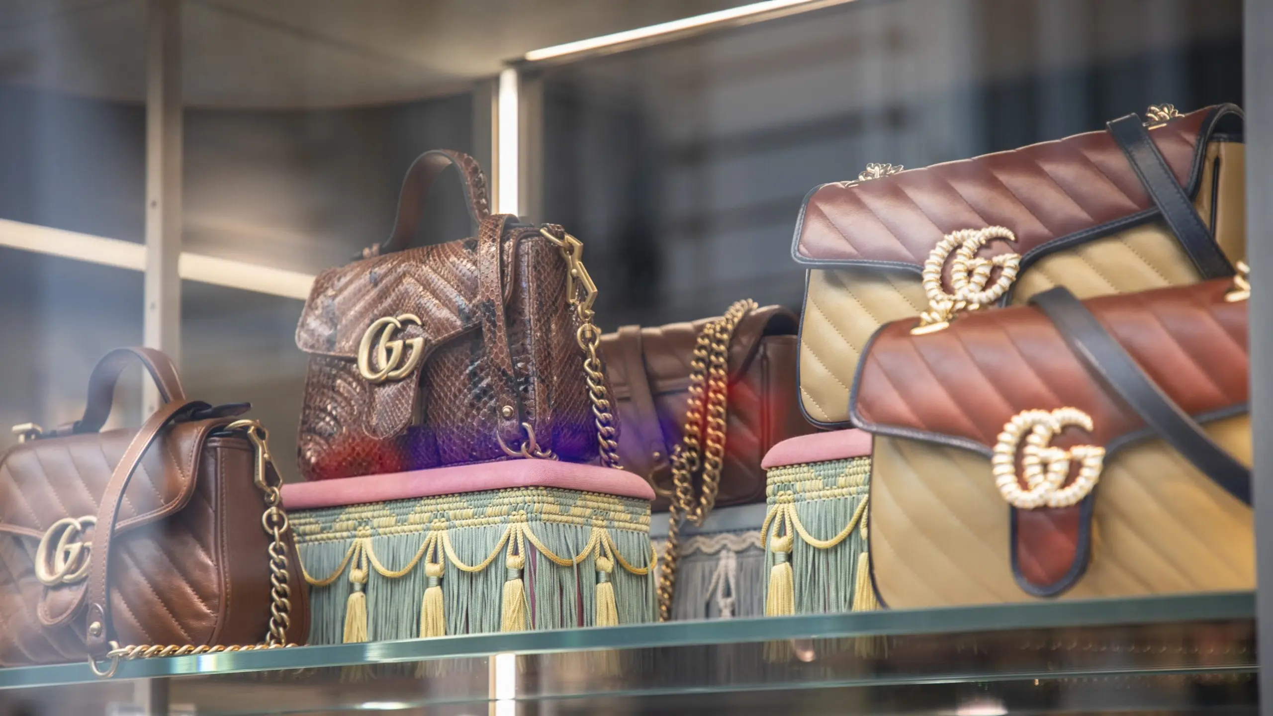 Schaufenster mit Gucci-Handtaschen