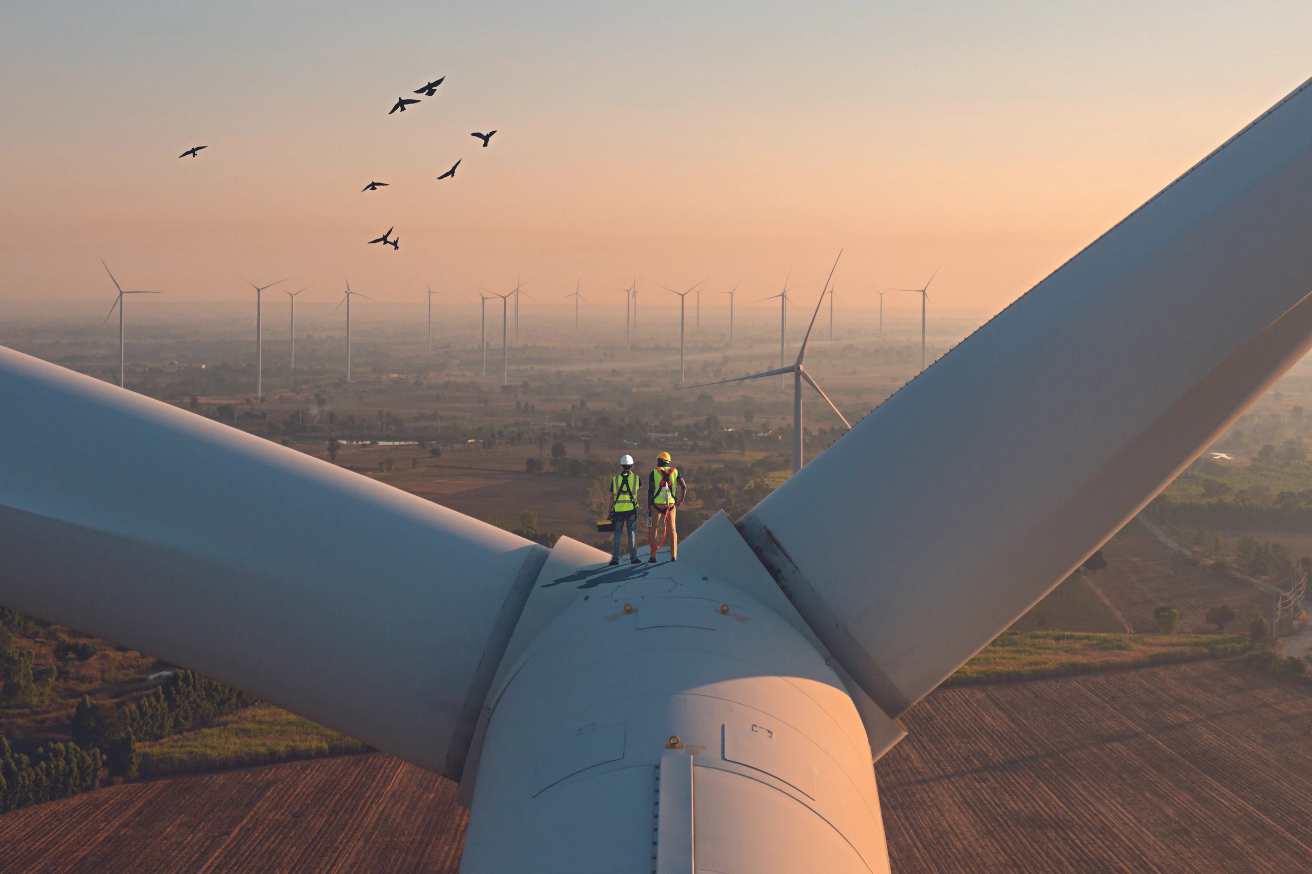 Hoffnungsträger Windkraft