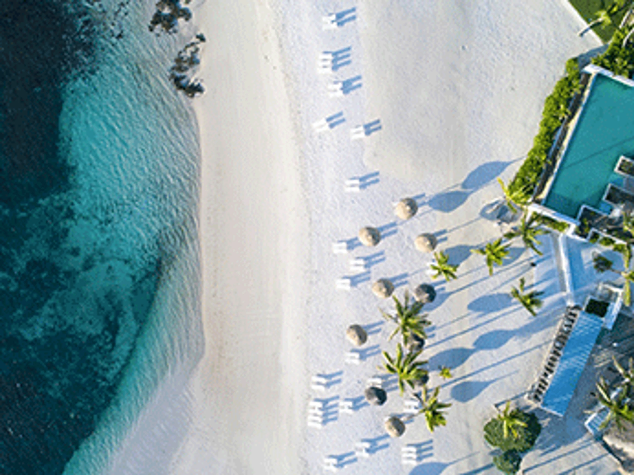 Hintergrundbild des Collage-Eintrags