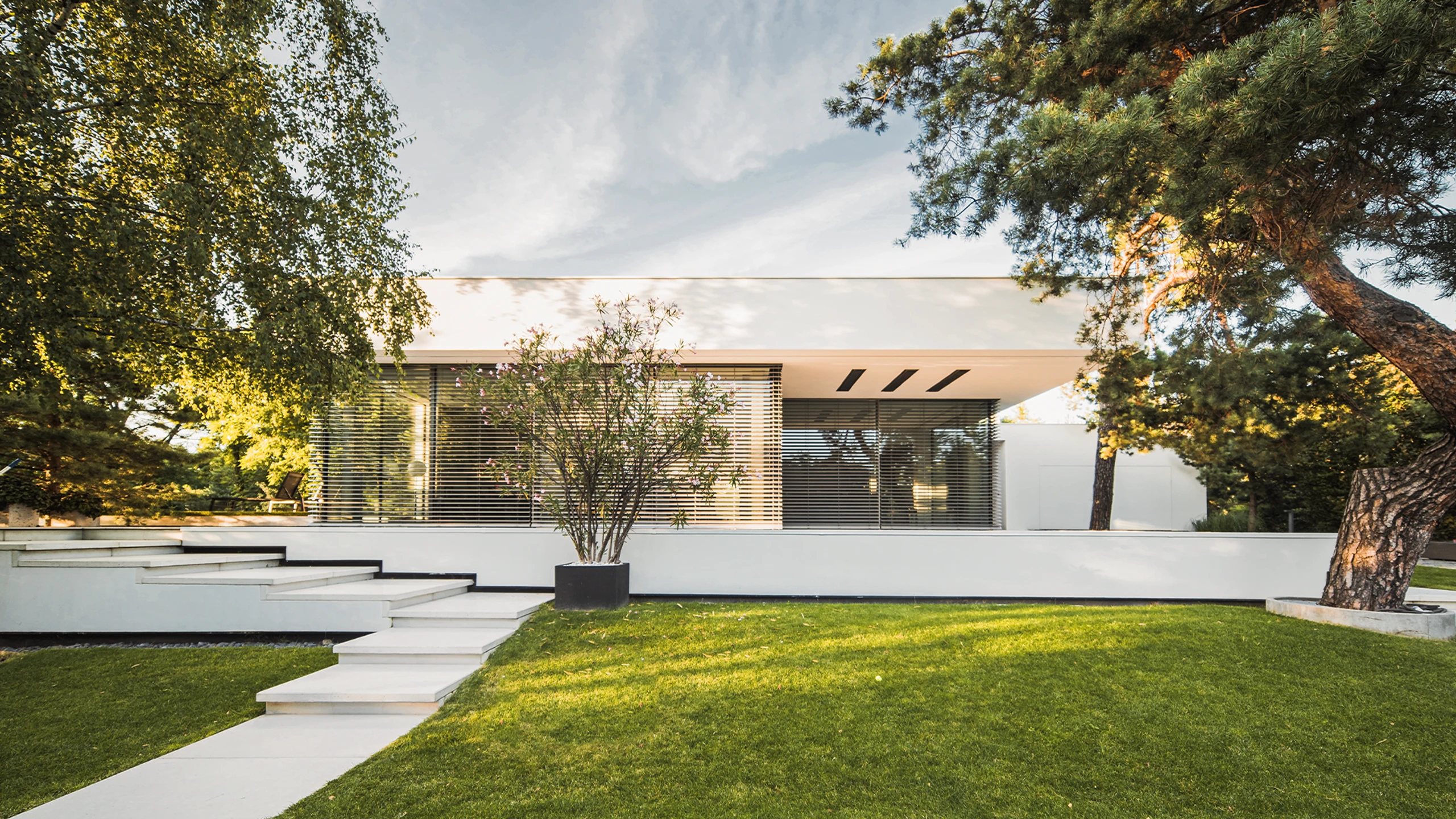 Blurred image background