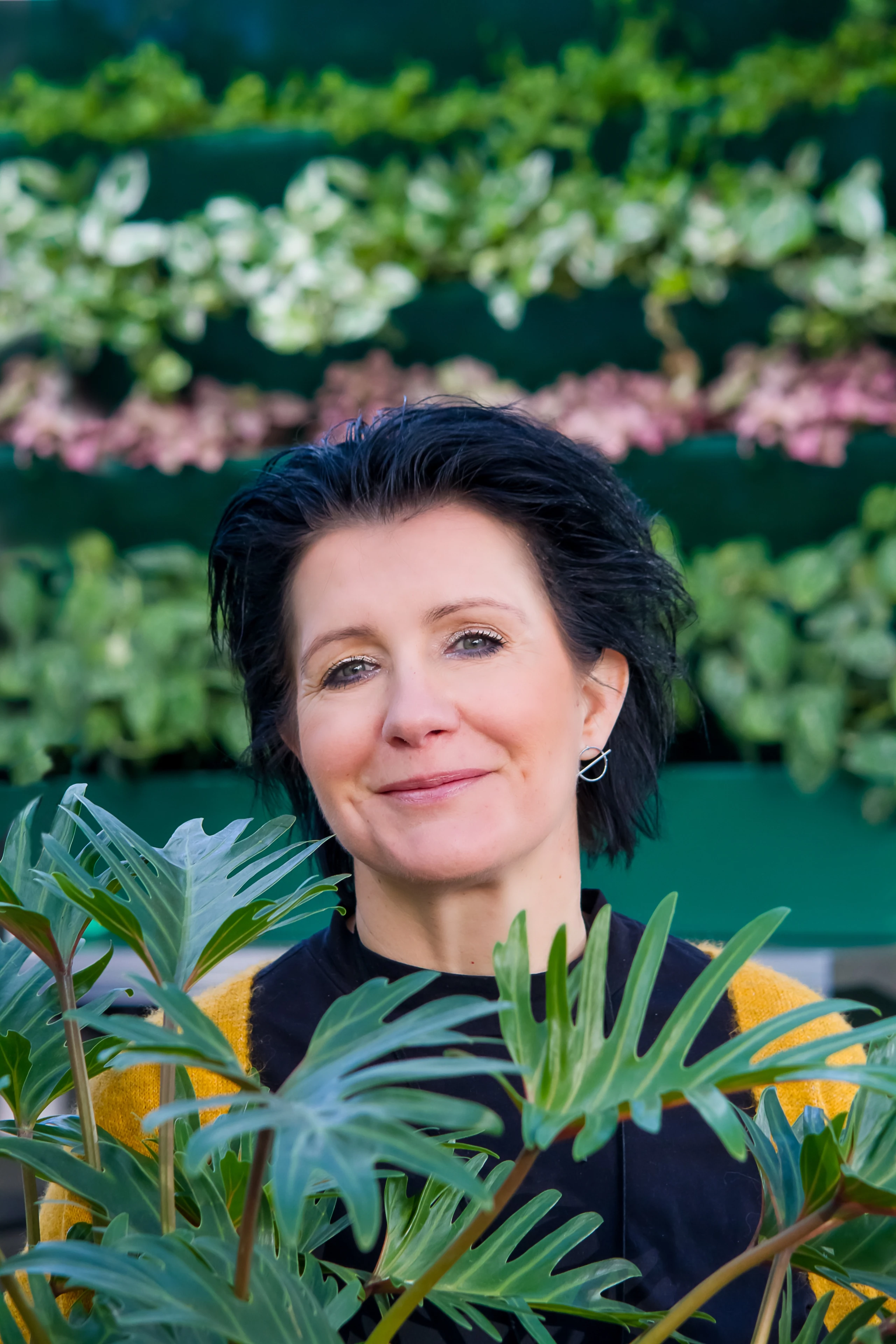 Blurred image background