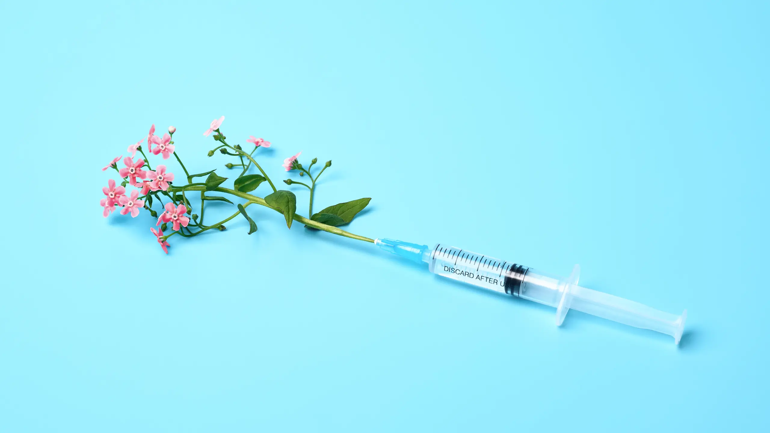 Spritze auf blauem Hintergrund, aus der eine Blume wächst