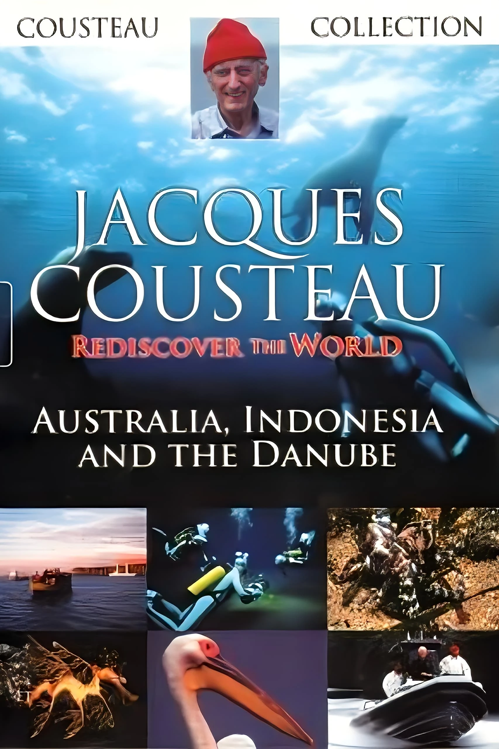 Rediscovery of the World II