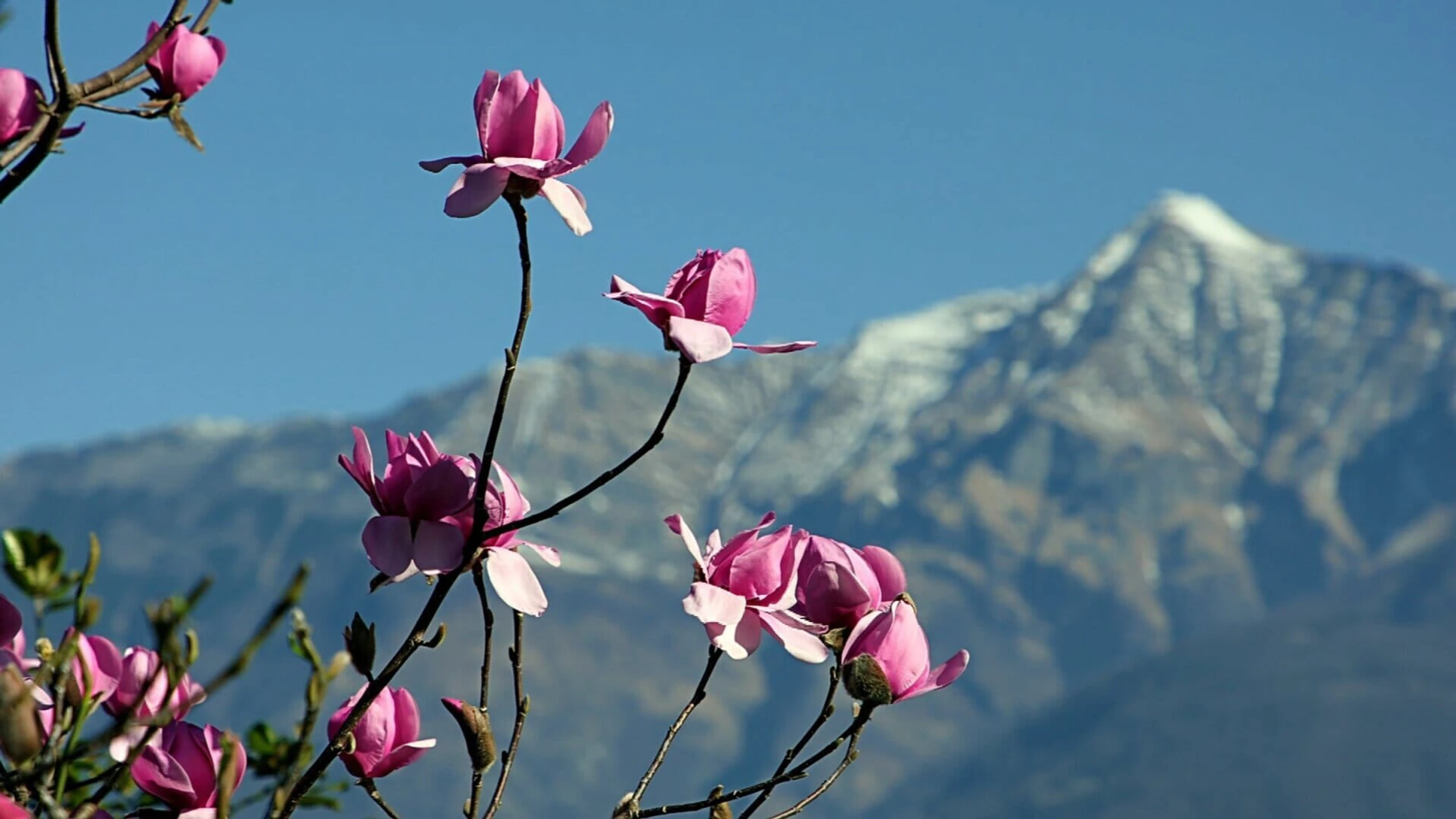Wunderwelt Schweiz