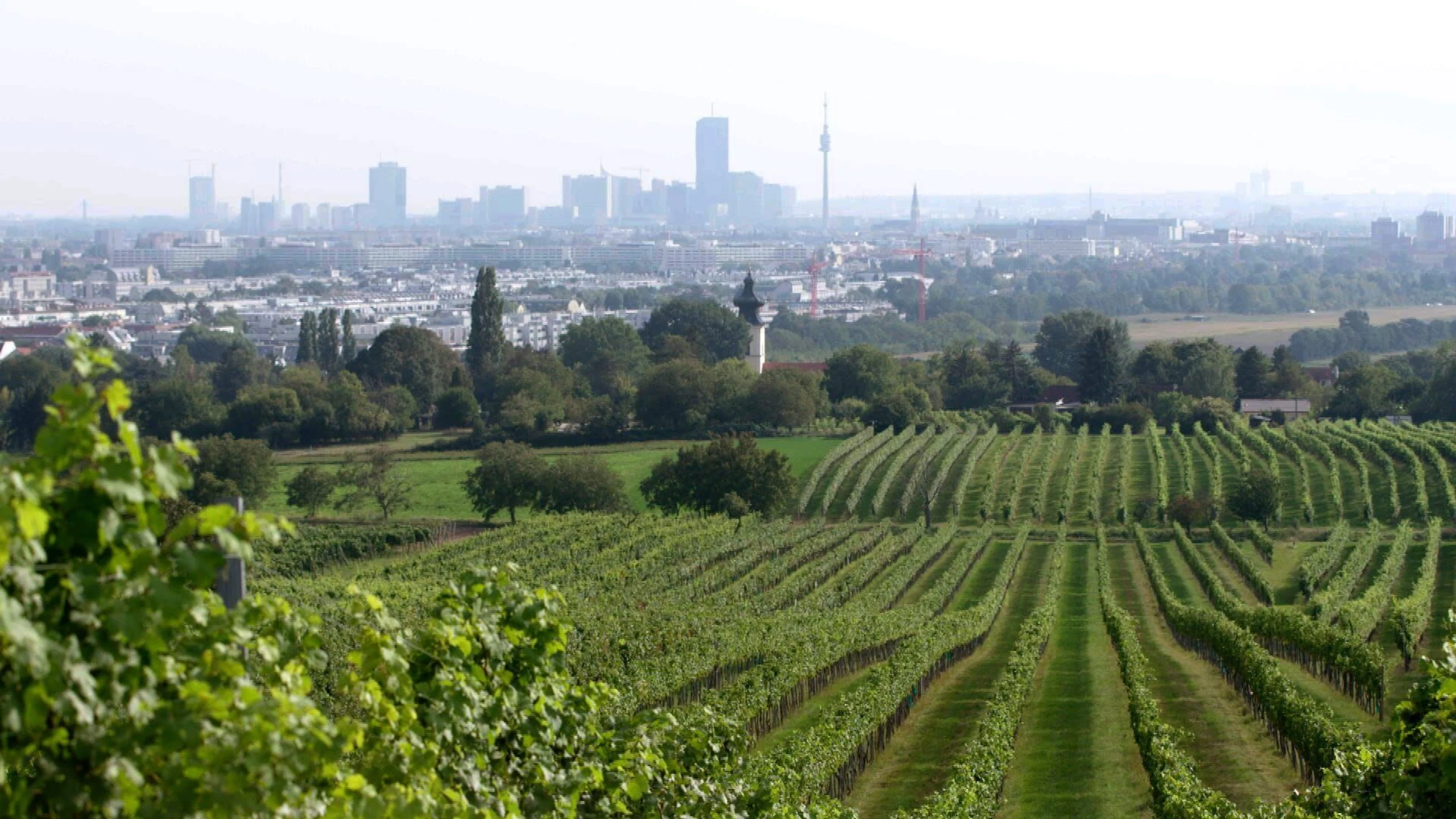 Erlebnis Österreich
