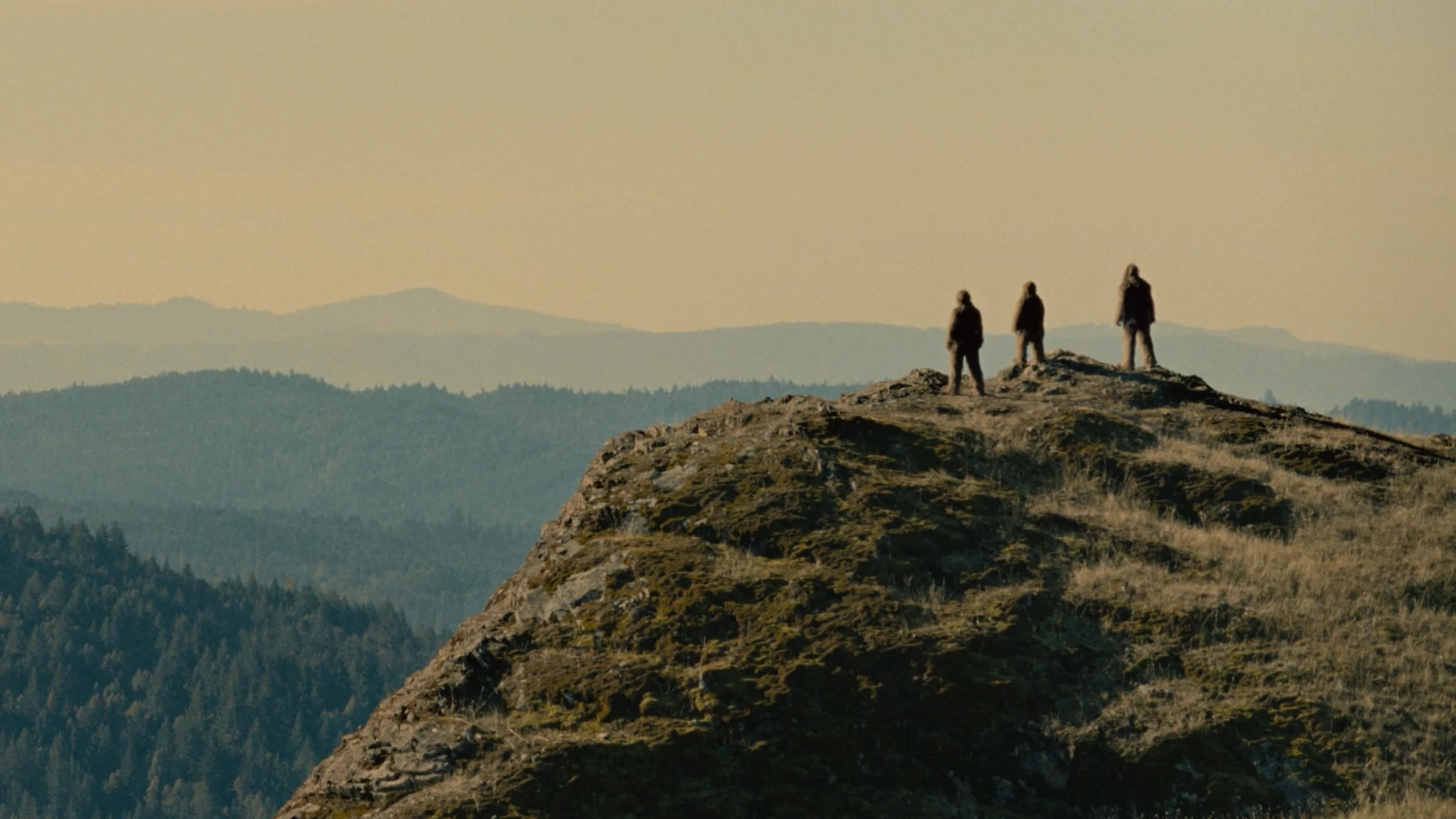 Untitled Sasquatch Film