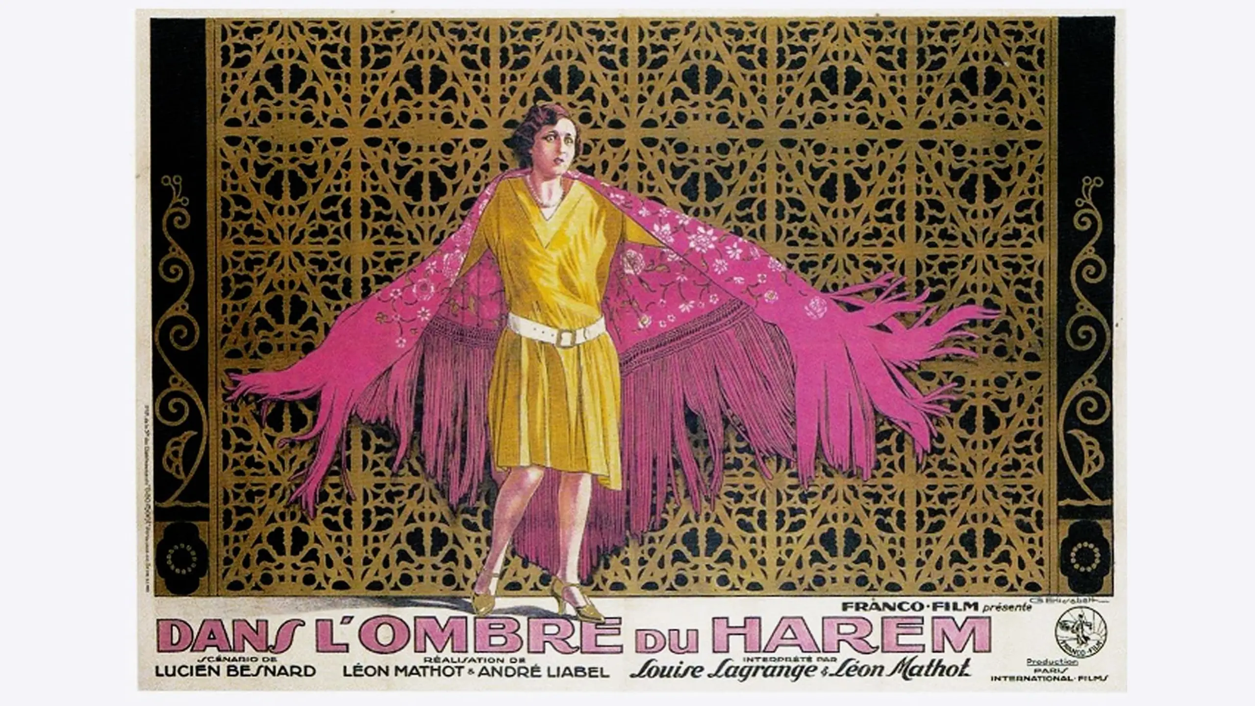 Dans l'ombre du harem