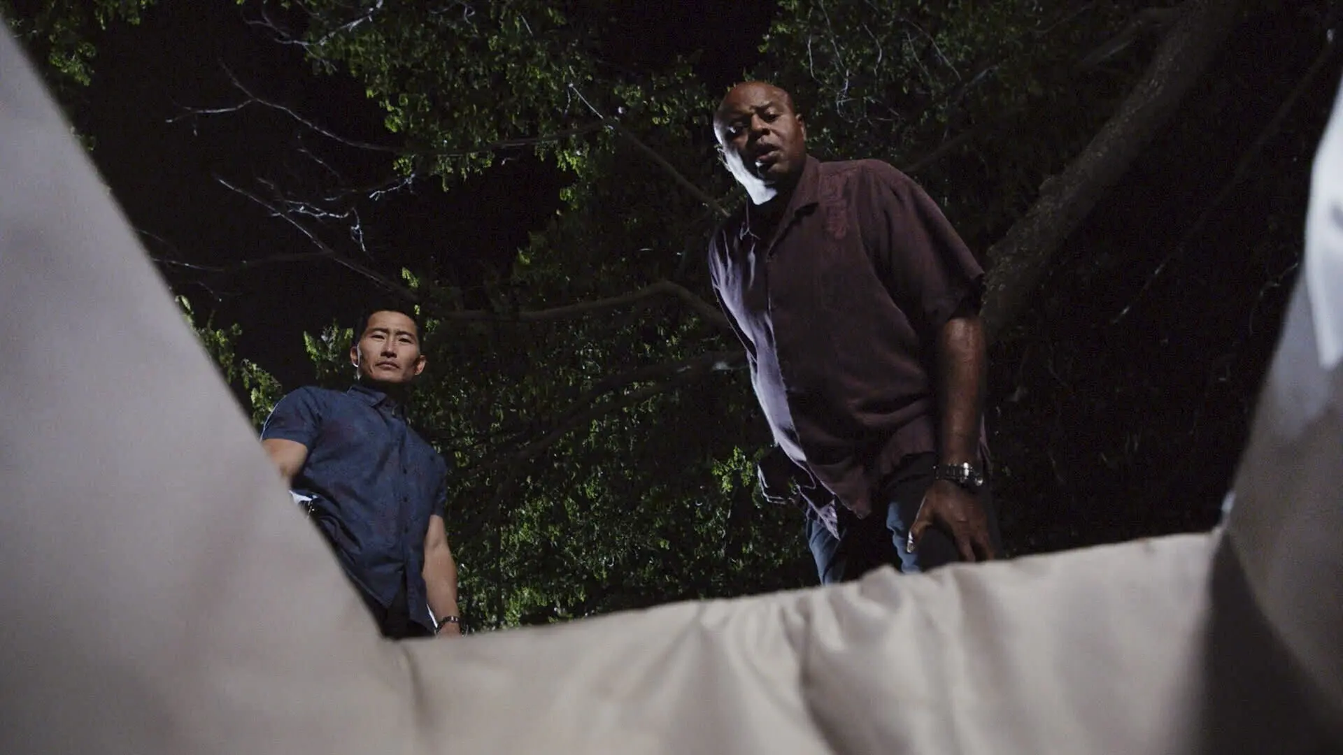 Hawaii Five-0